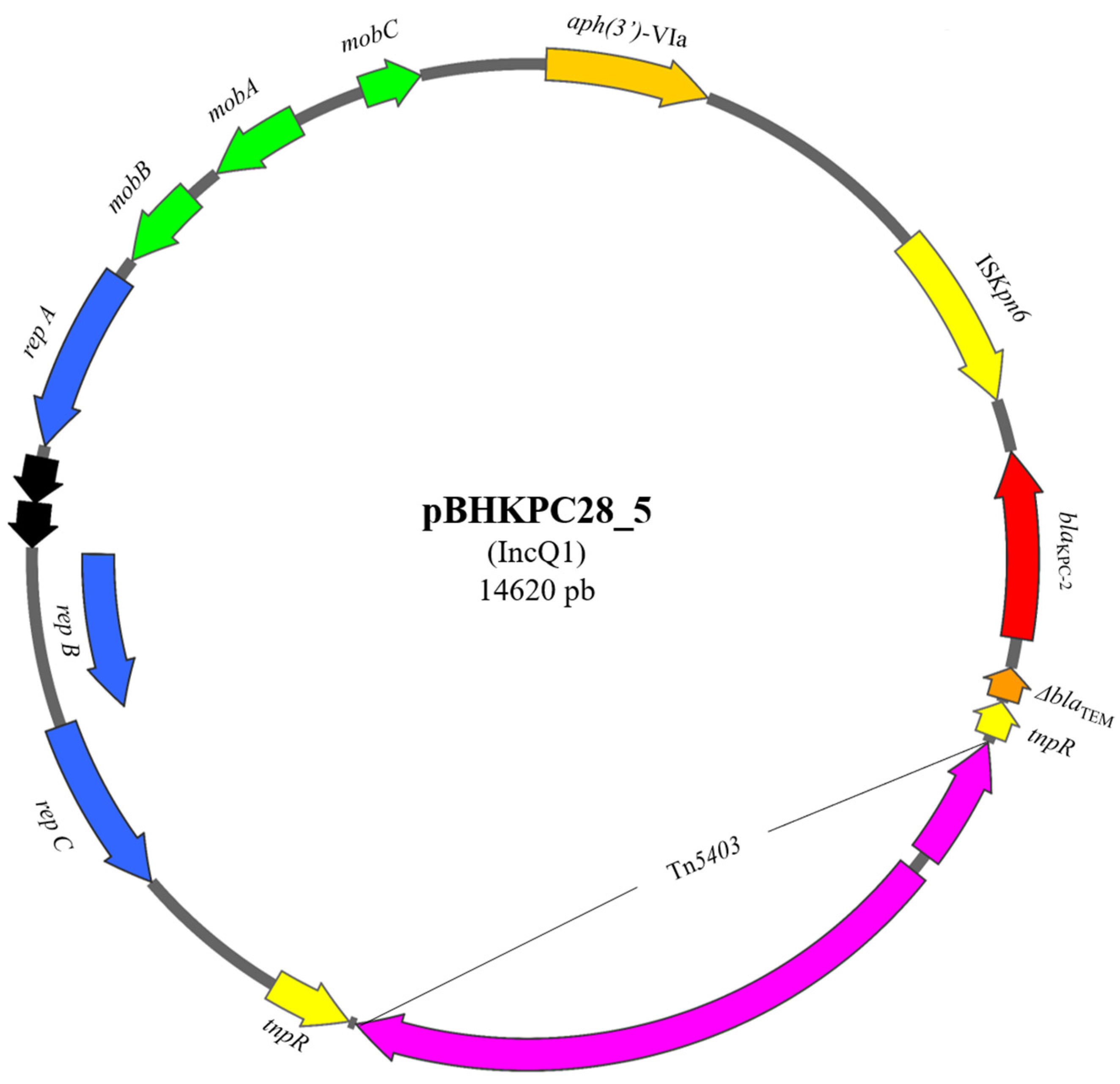 Microorganisms 13 00180 g002