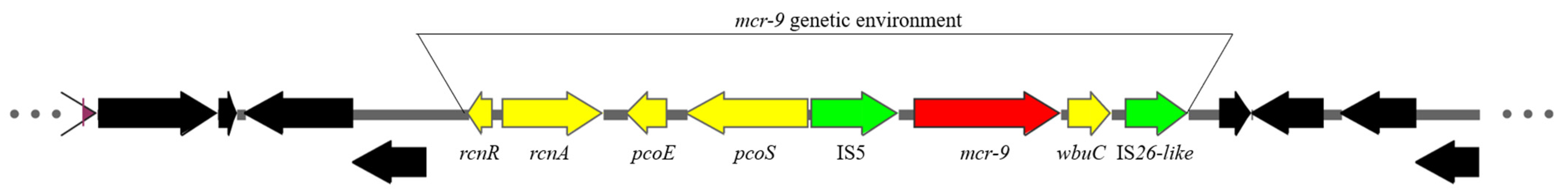 Microorganisms 13 00180 g003