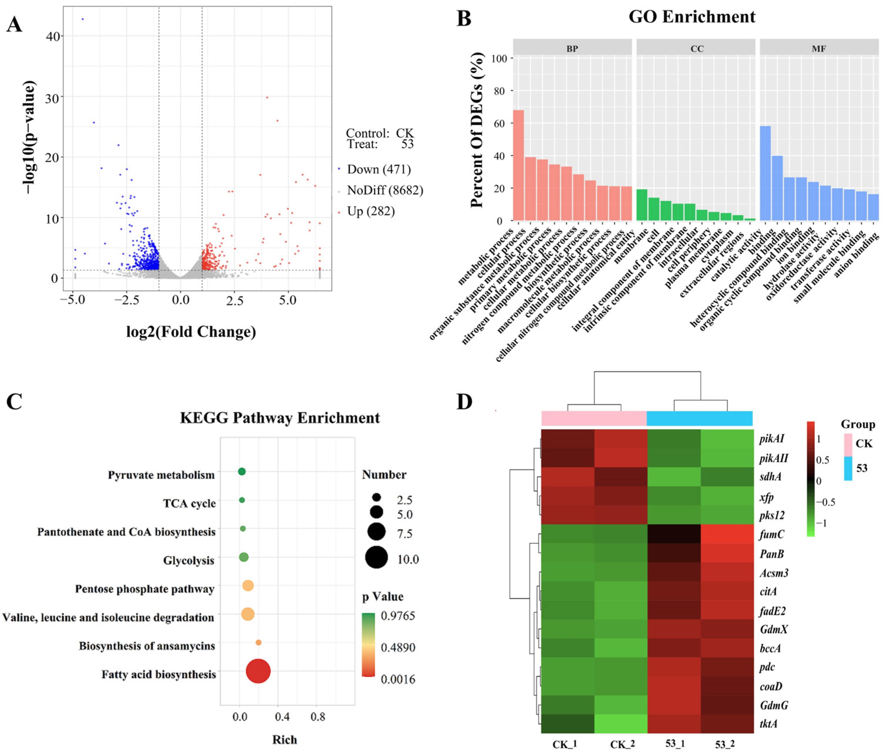 Microorganisms 13 00186 g005