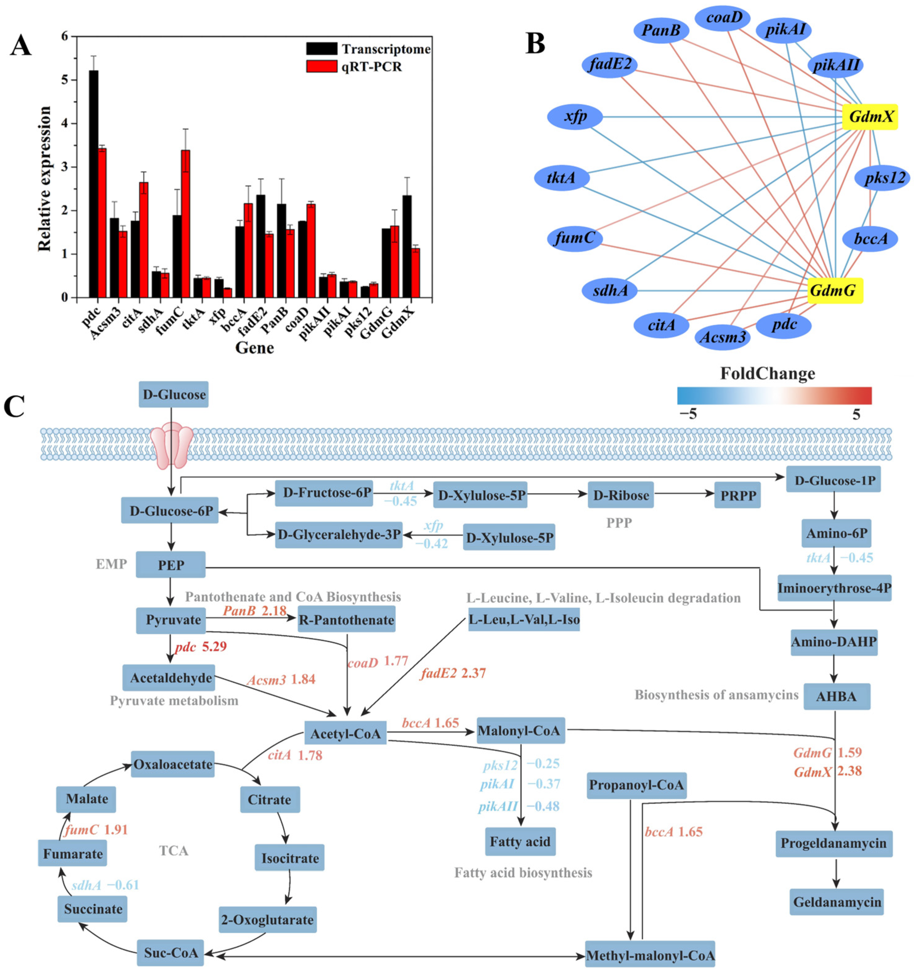 Microorganisms 13 00186 g006