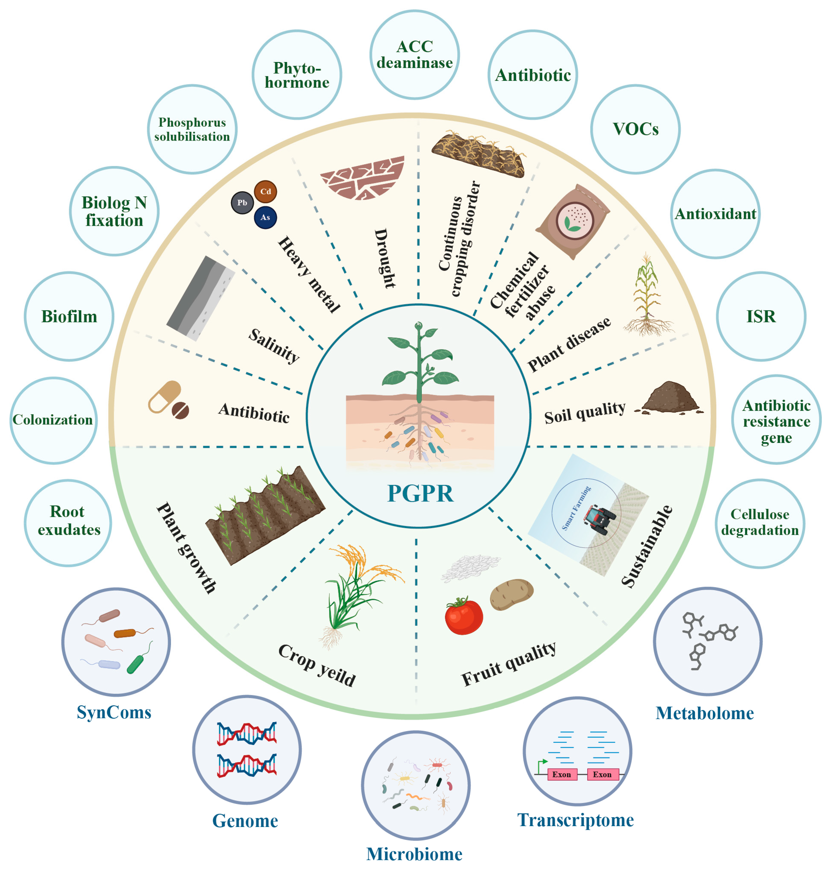 Microorganisms 13 00187 g004