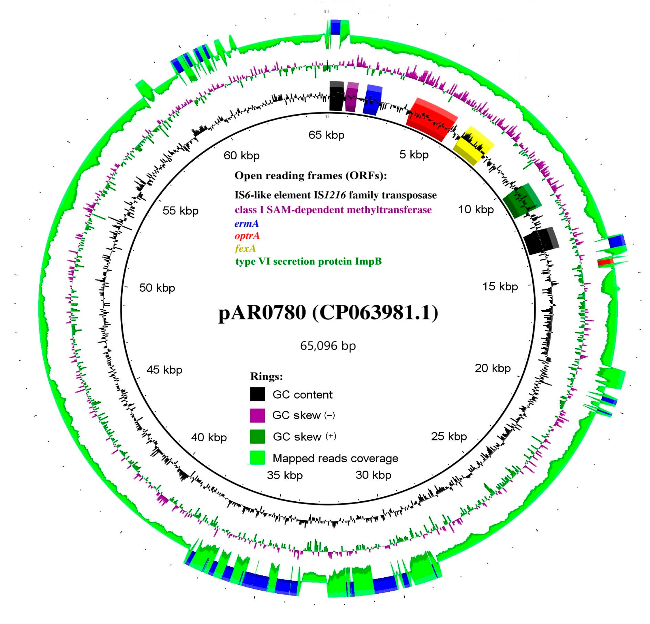 Microorganisms 13 00195 g003