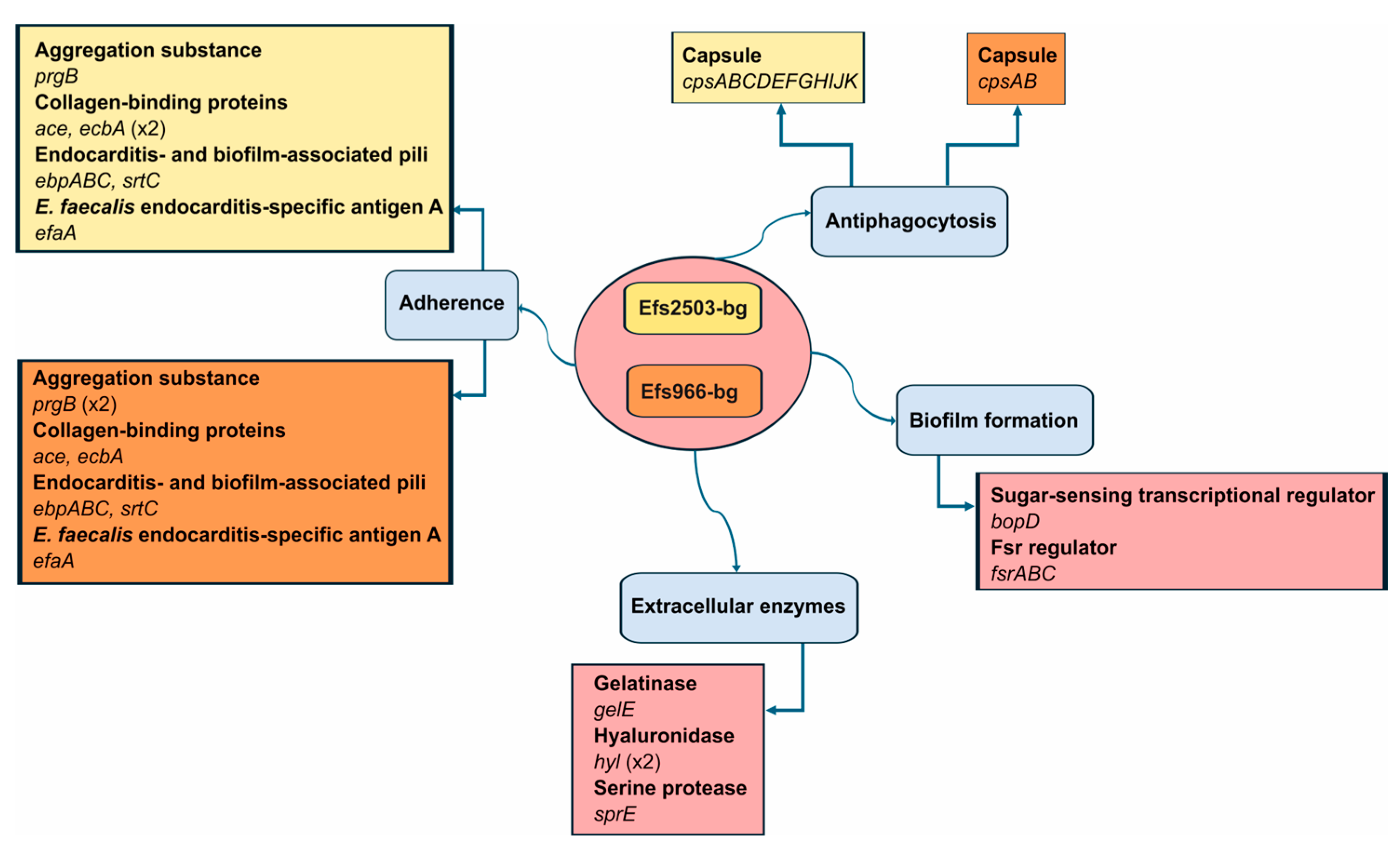 Microorganisms 13 00195 g004