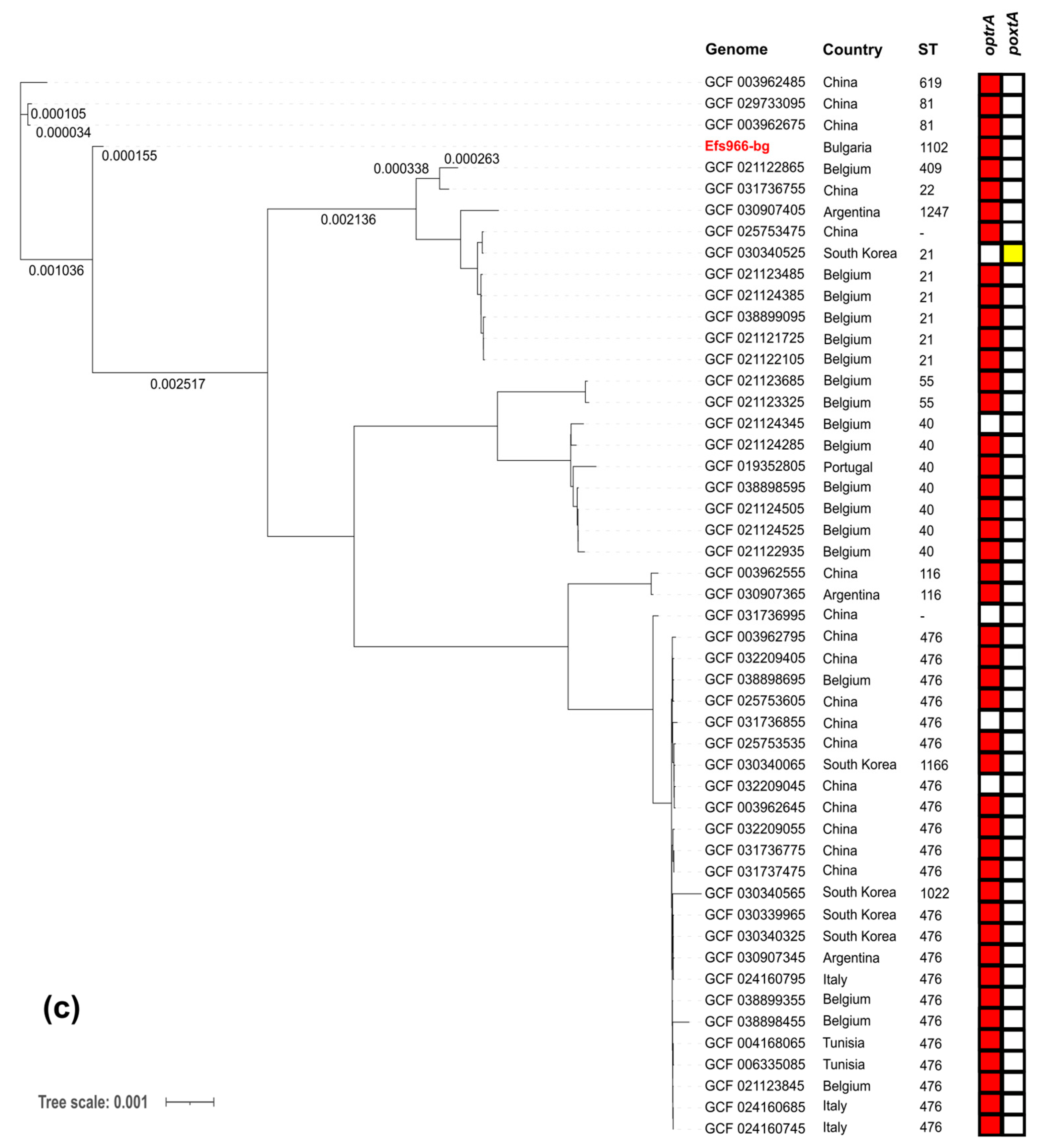 Microorganisms 13 00195 g005b