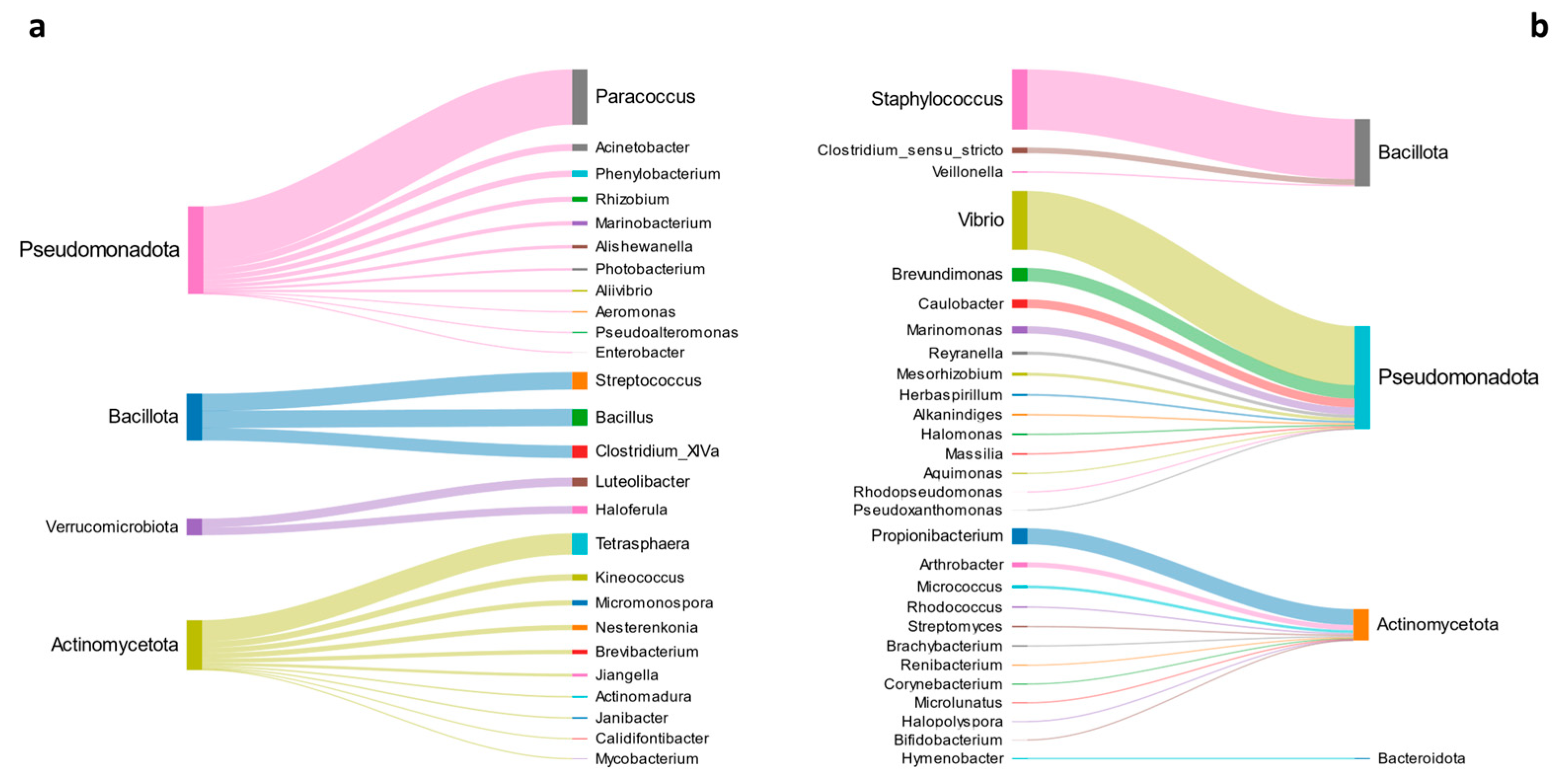 Microorganisms 13 00198 g007