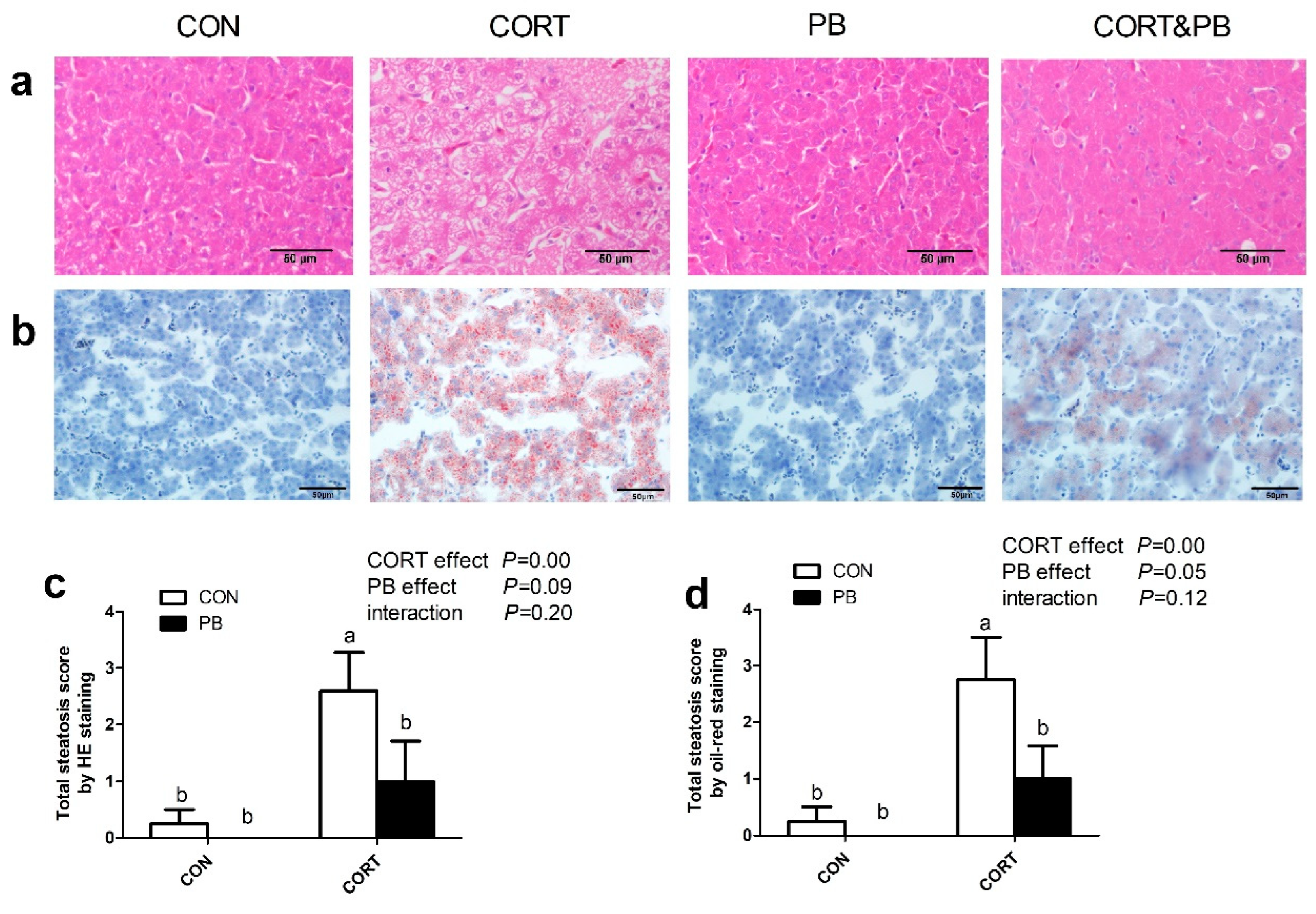 Microorganisms 13 00200 g002 Microorganisms 13 00200 g002