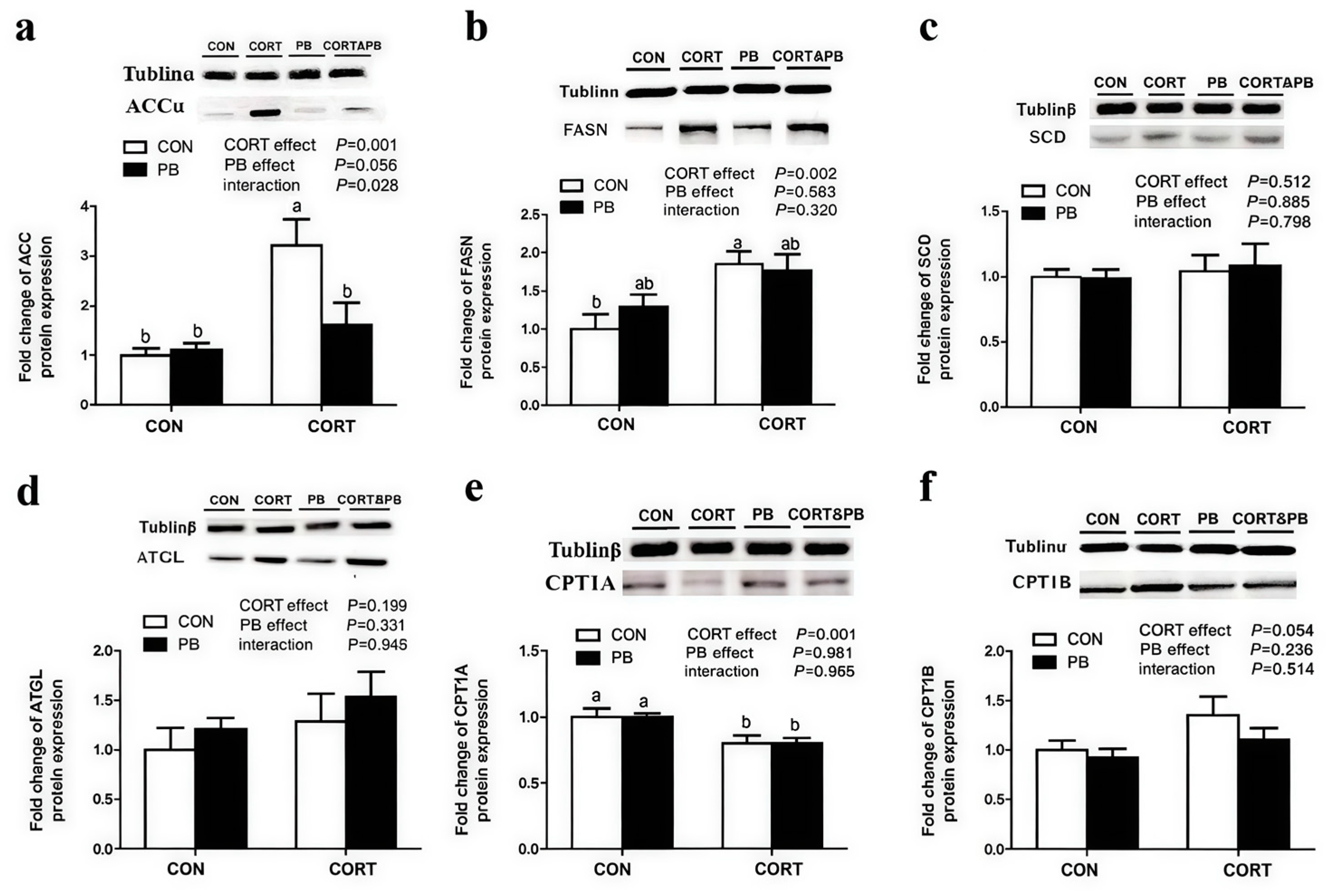 Microorganisms 13 00200 g005 Microorganisms 13 00200 g005