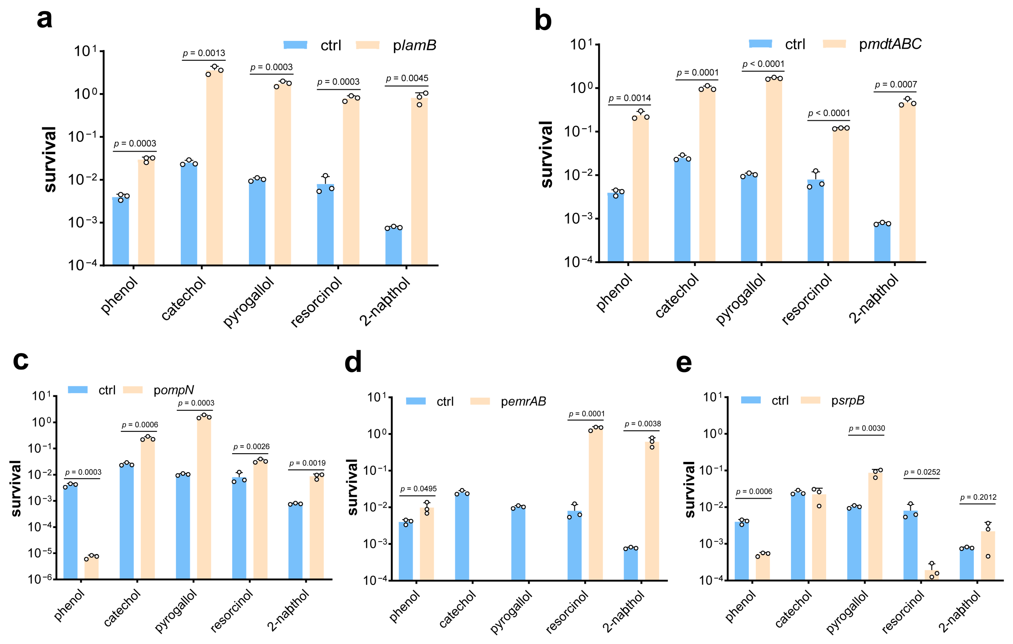 Microorganisms 13 00202 g004