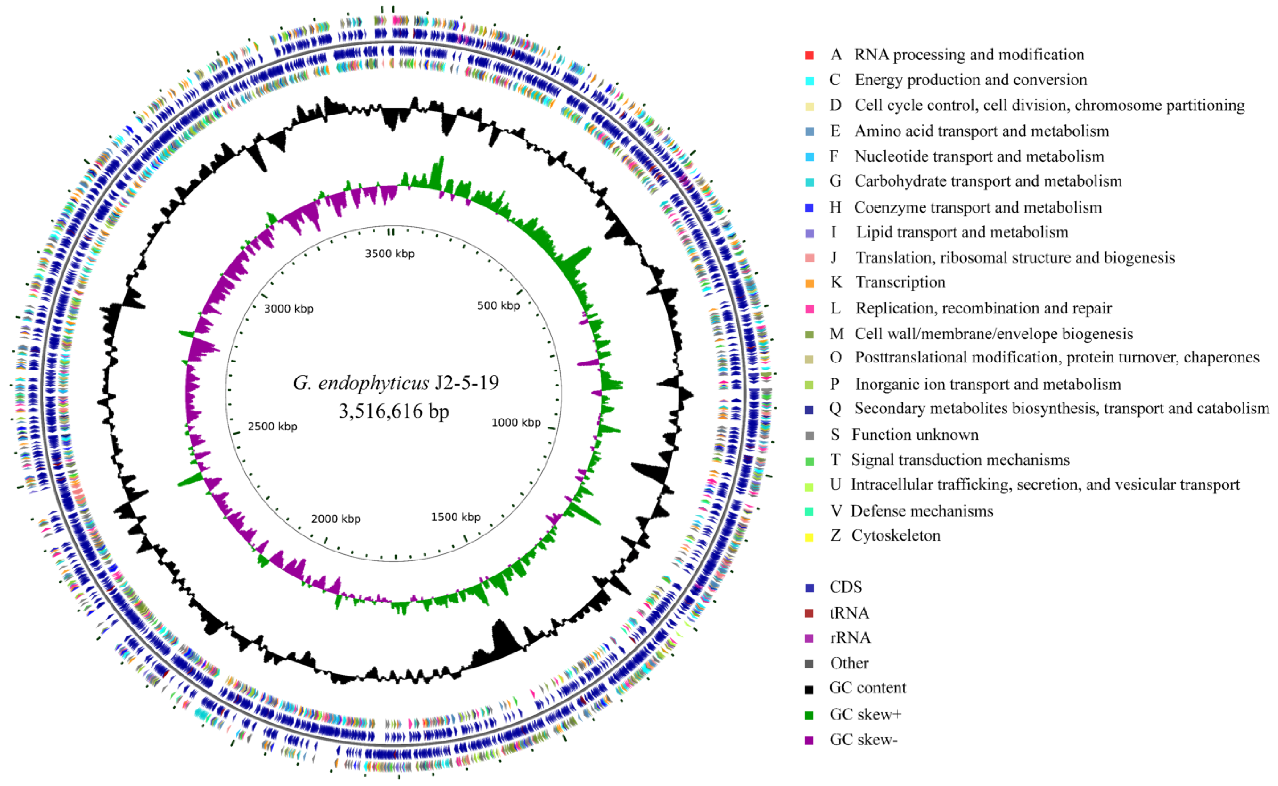 Microorganisms 13 00208 g003