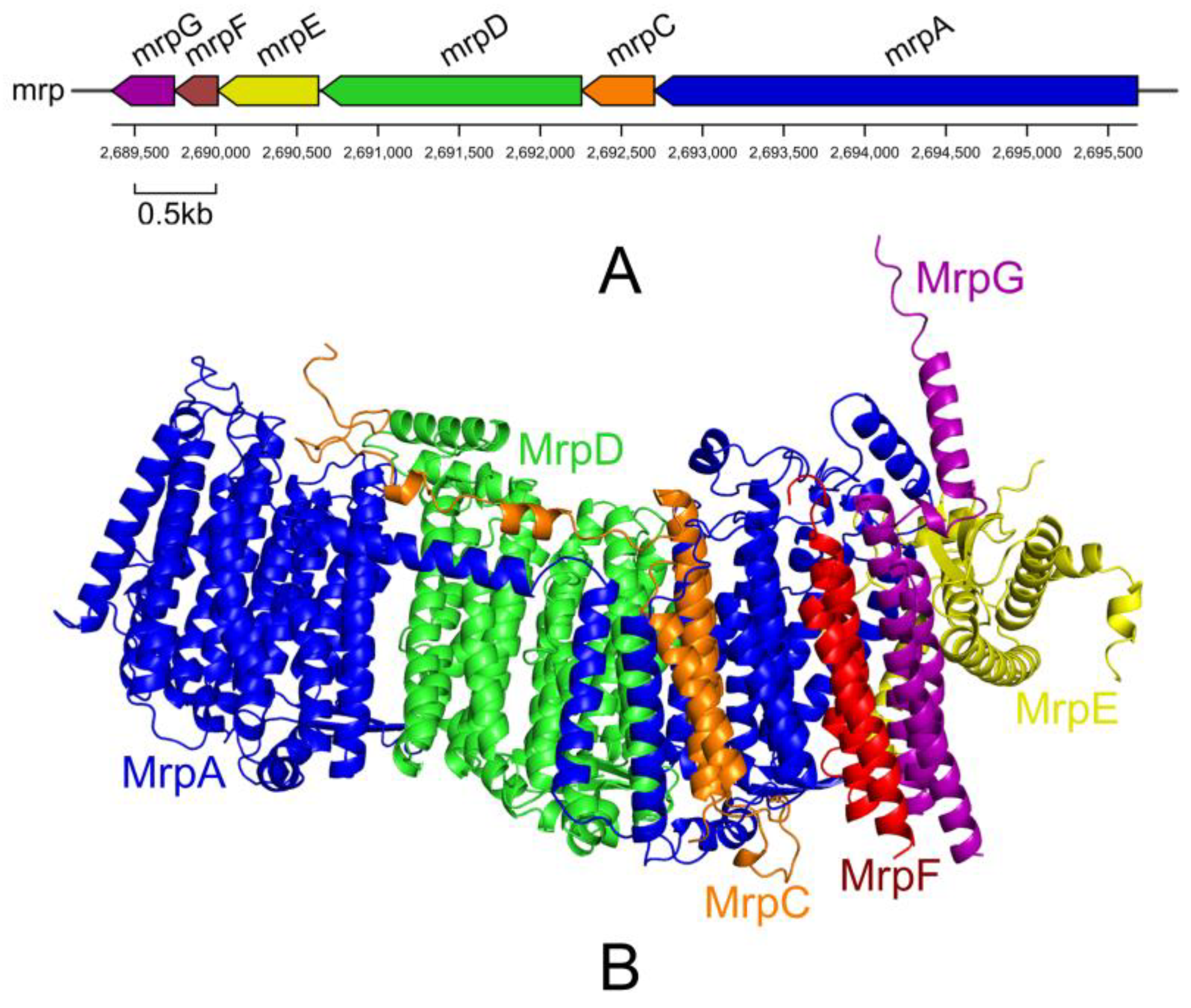 Microorganisms 13 00208 g006