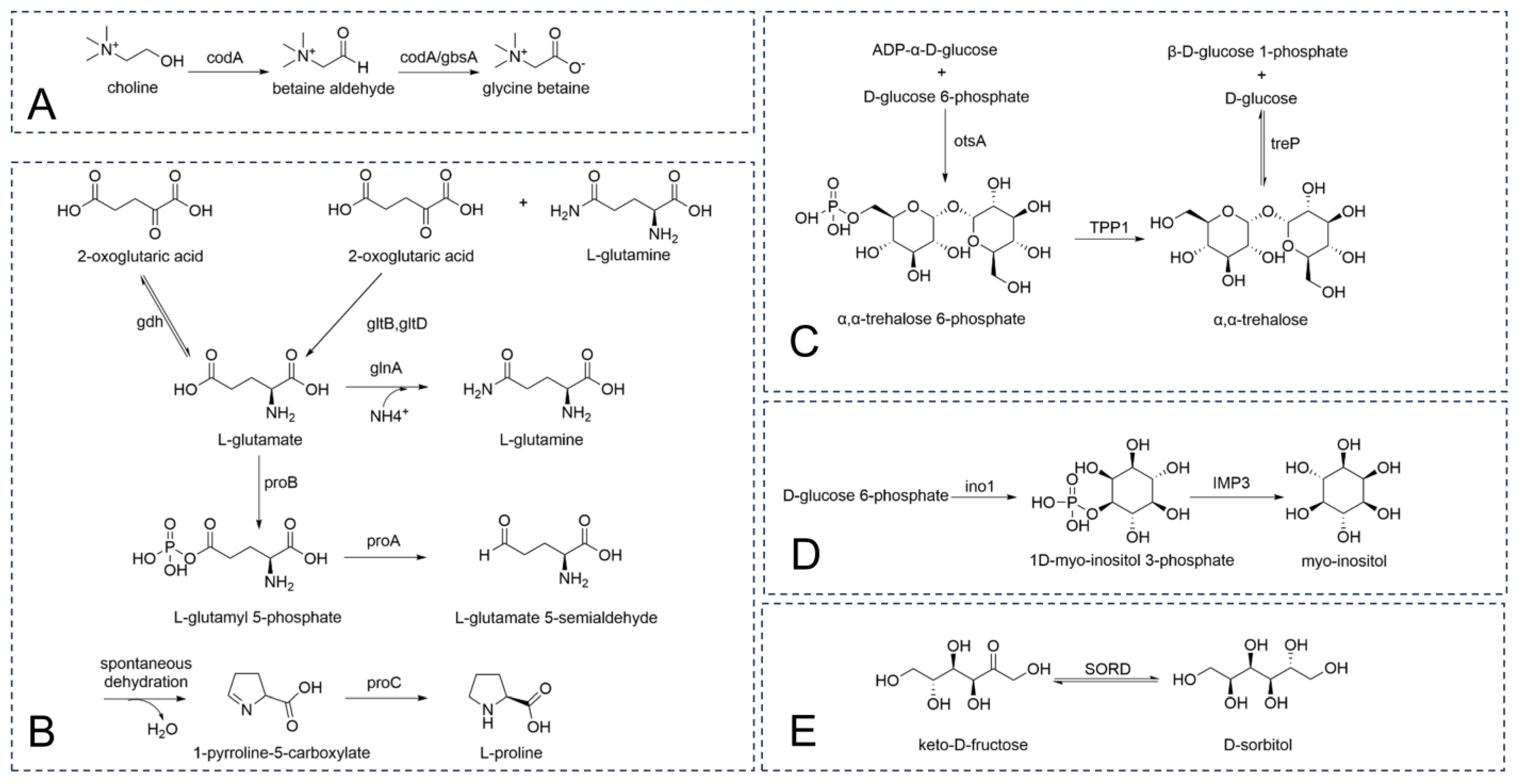 Microorganisms 13 00208 g007