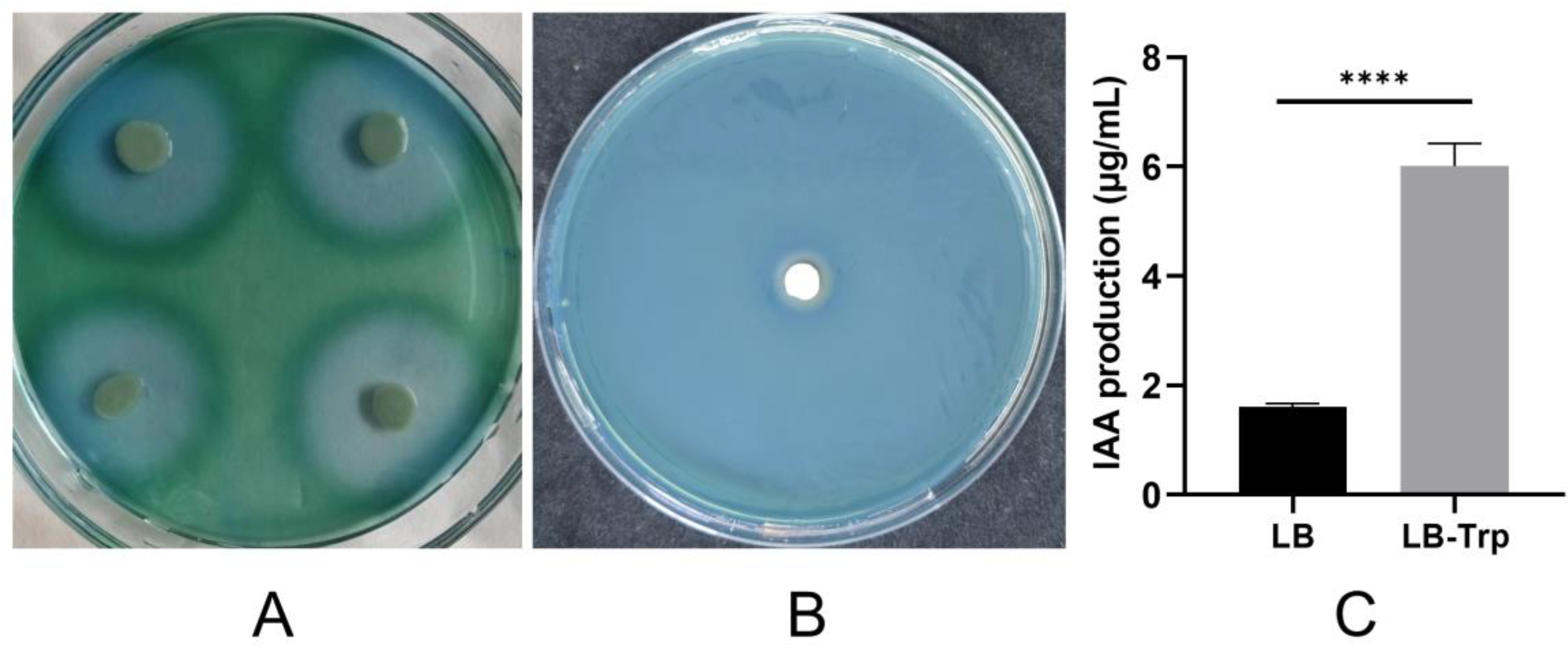 Microorganisms 13 00208 g008