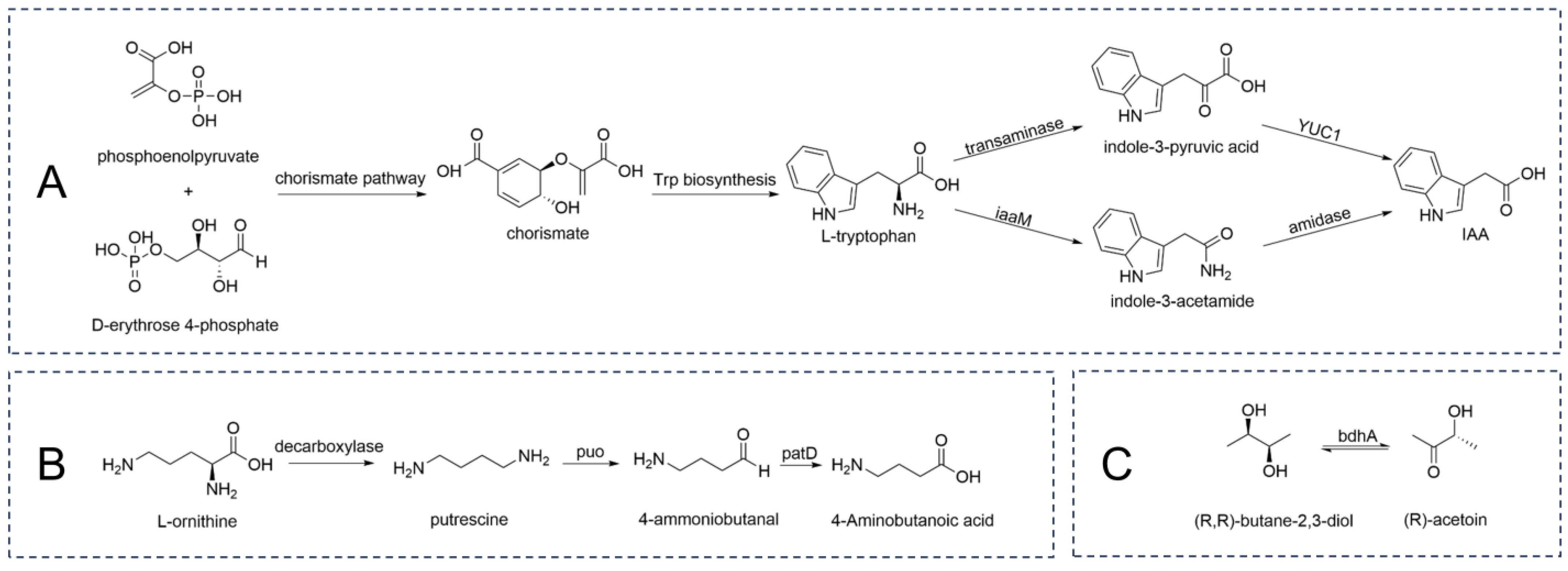 Microorganisms 13 00208 g012