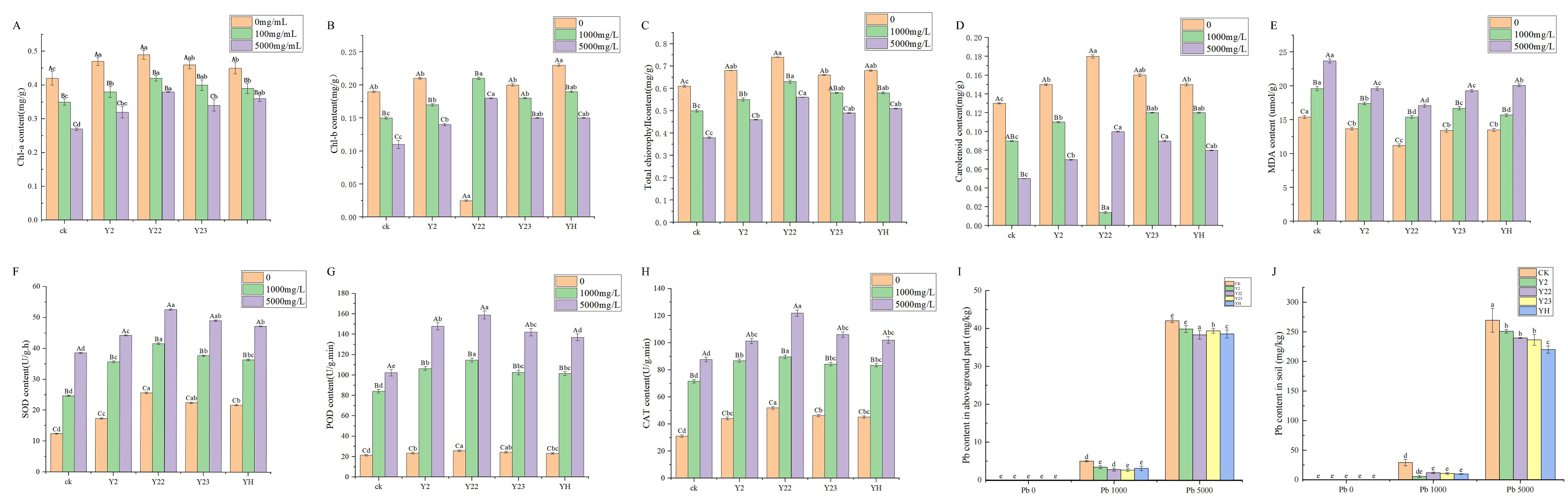 Microorganisms 13 00210 g005