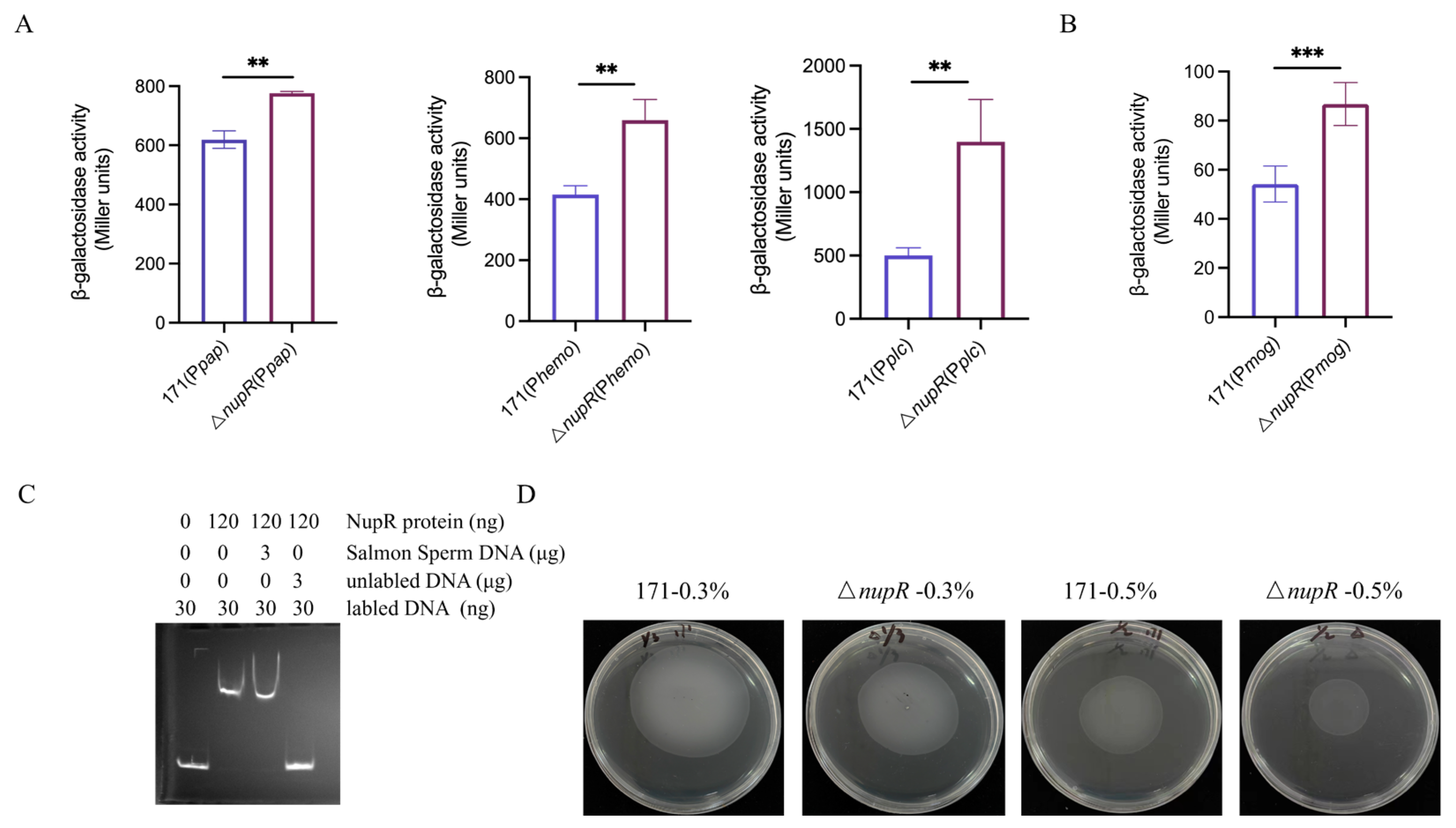 Microorganisms 13 00212 g002