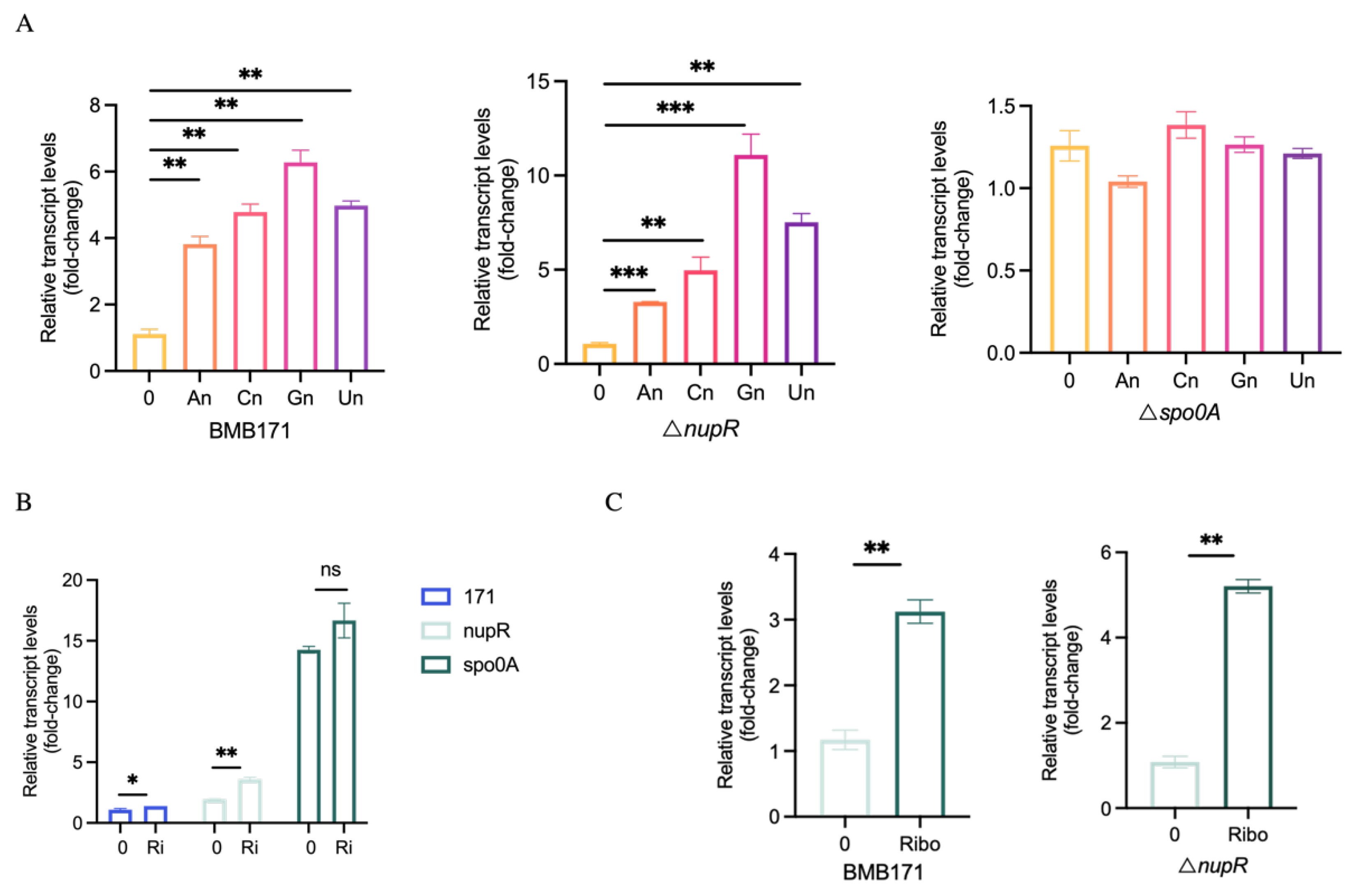 Microorganisms 13 00212 g005