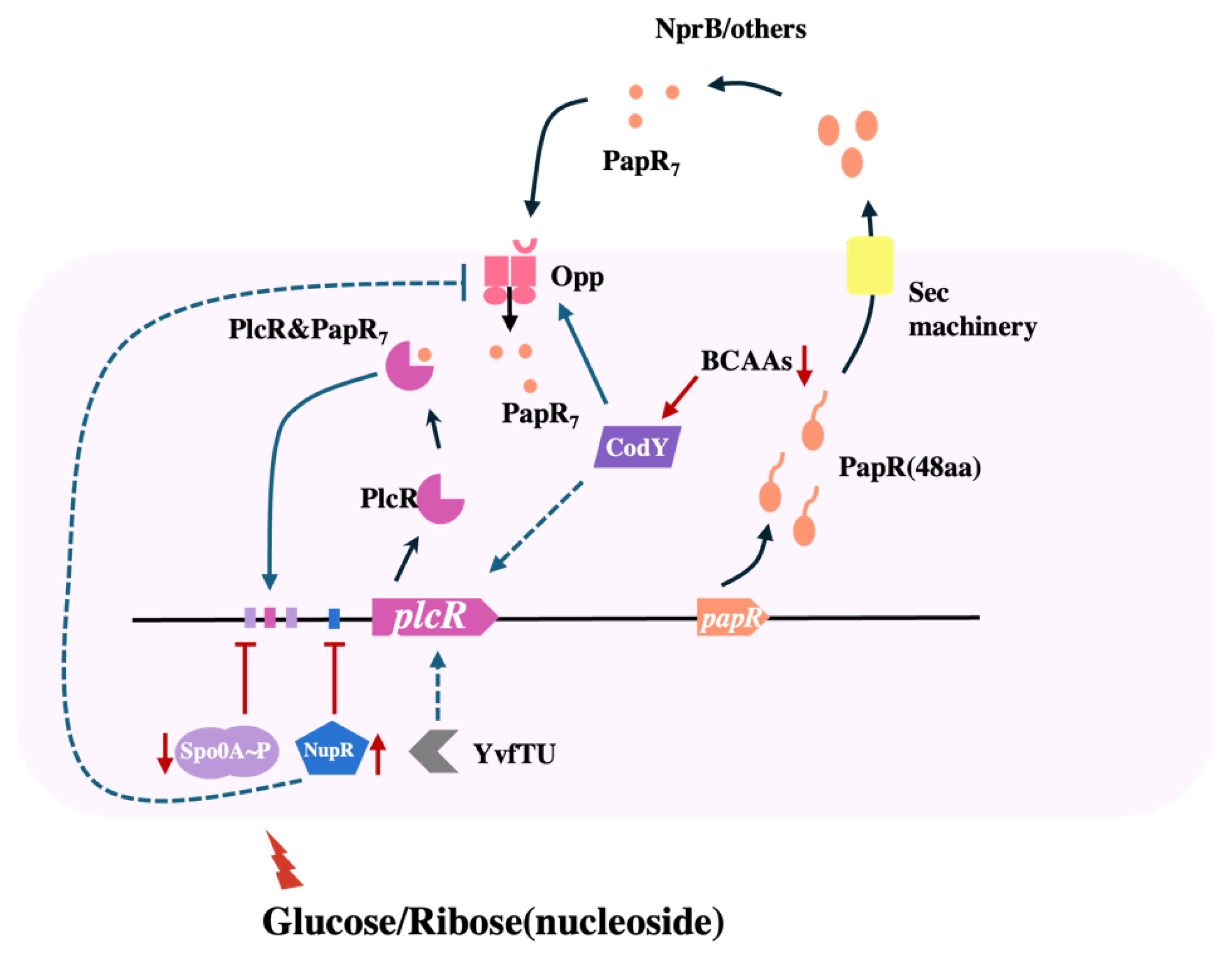 Microorganisms 13 00212 g006