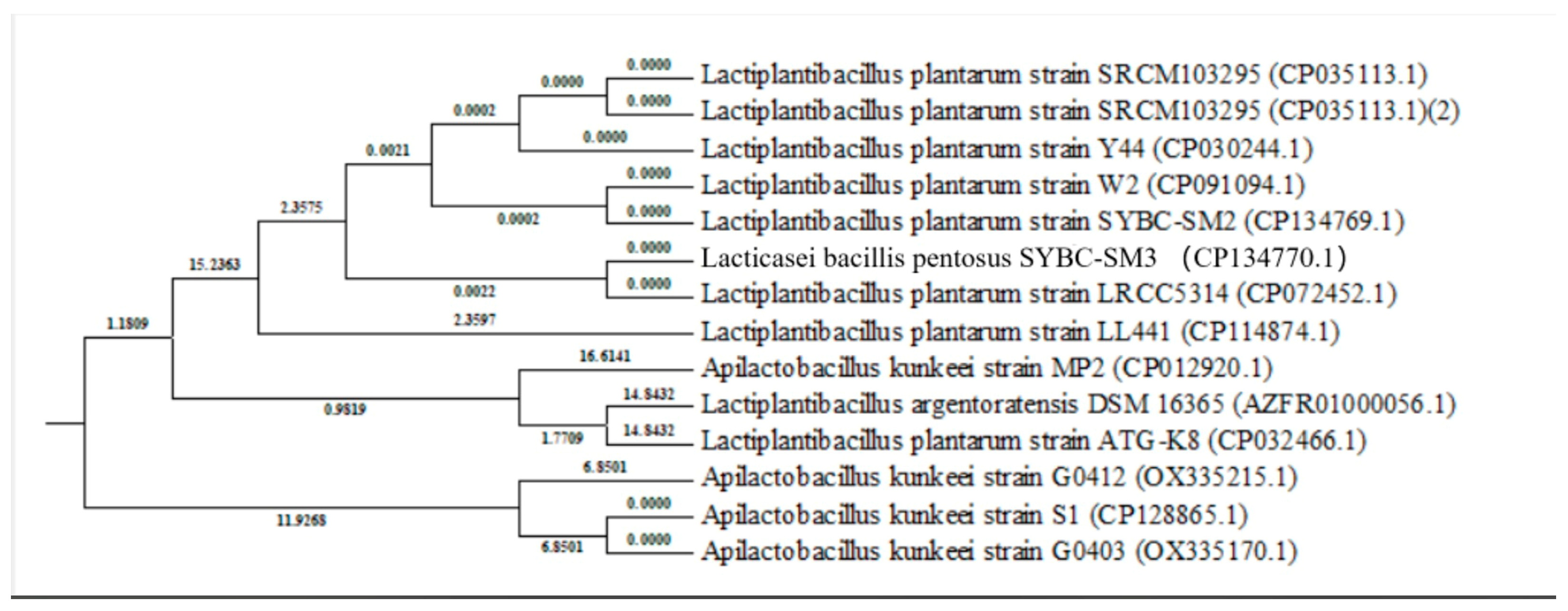 Microorganisms 13 00216 g002