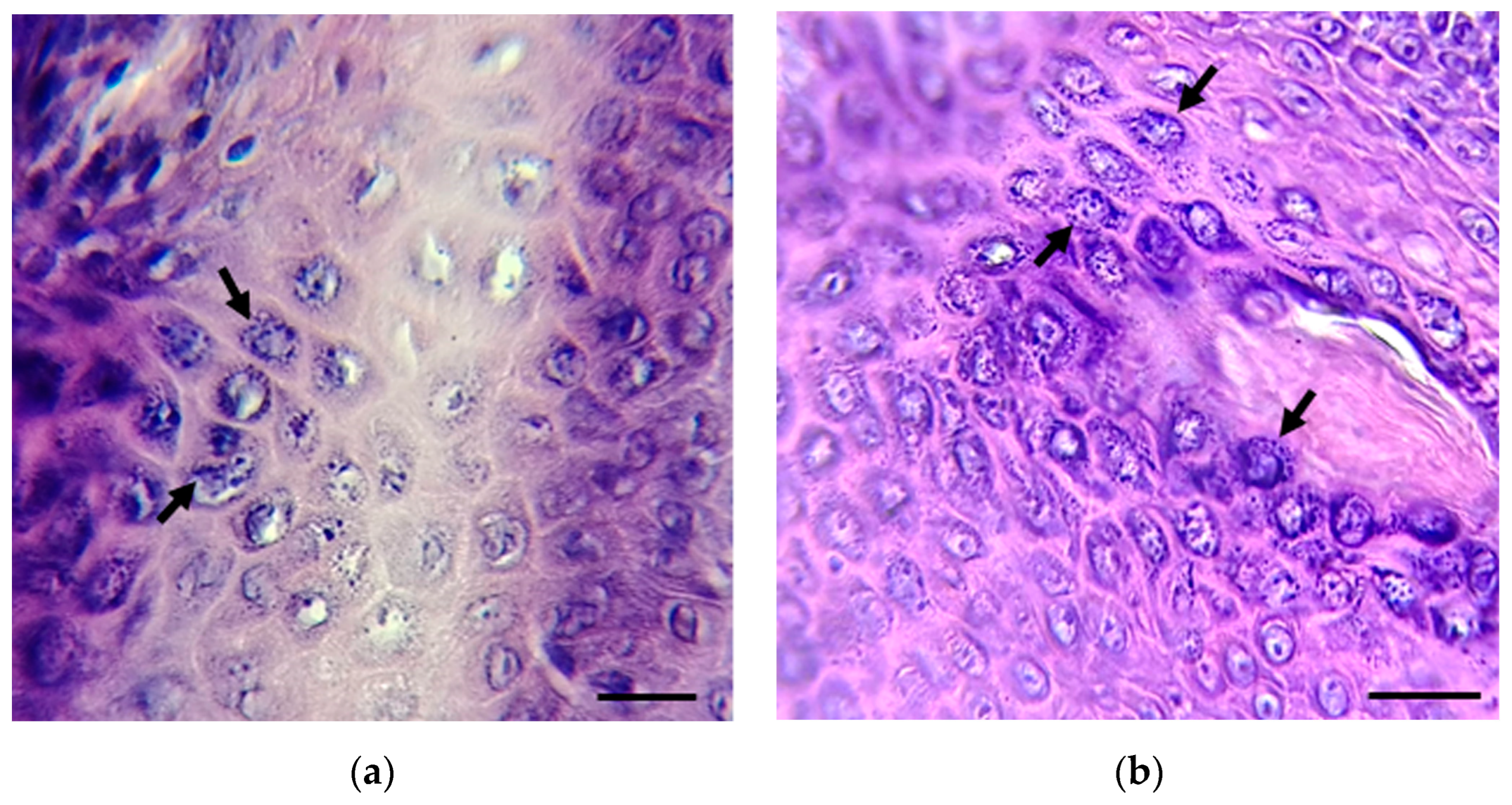 Microorganisms 13 00220 g002 Microorganisms 13 00220 g002