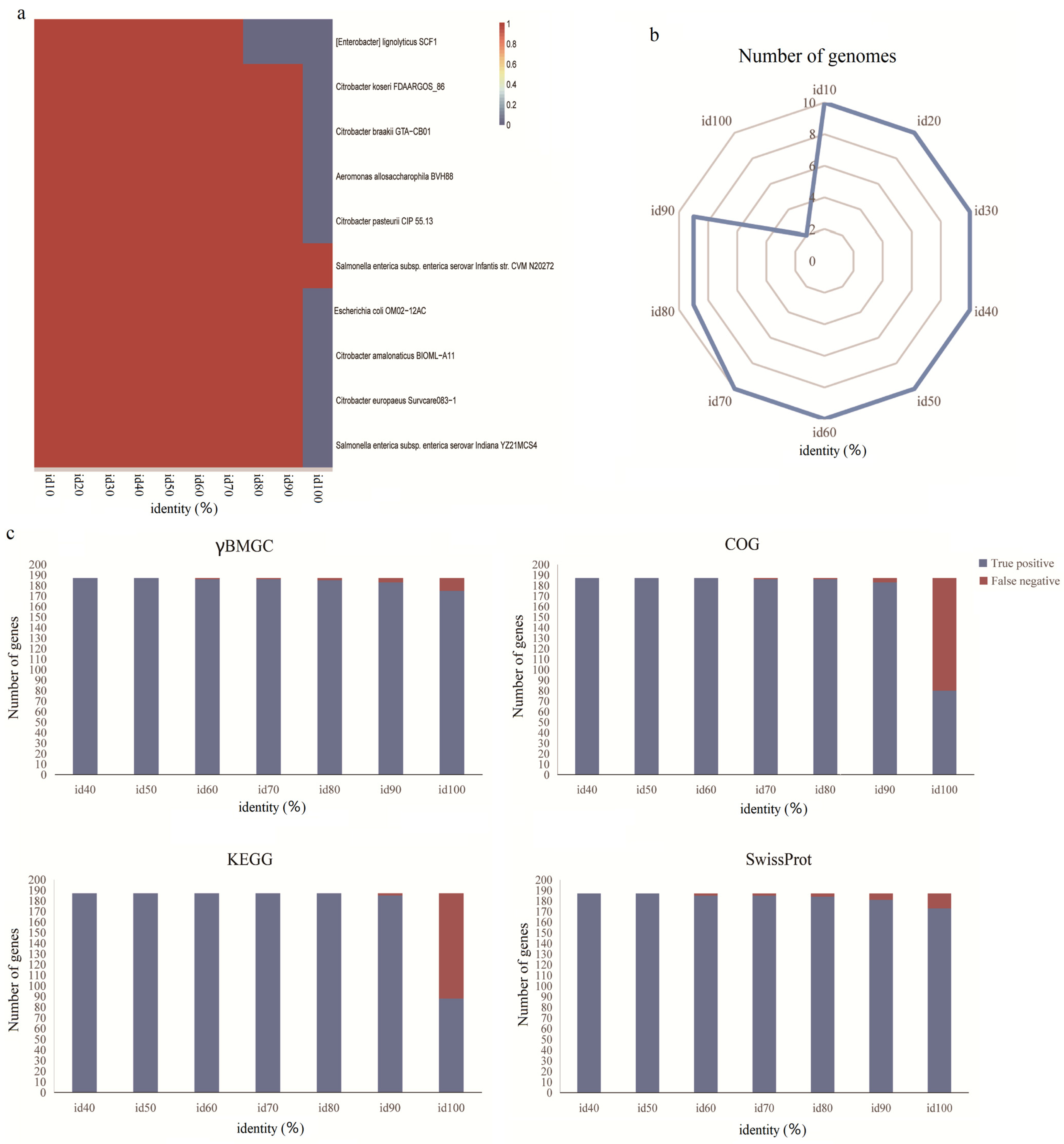 Microorganisms 13 00225 g004
