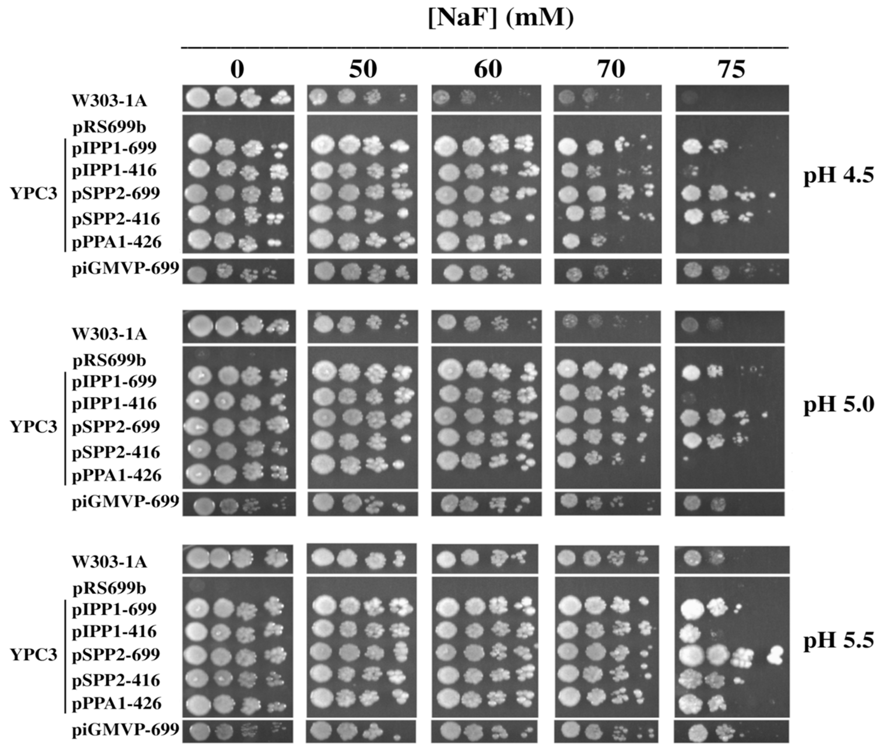 Microorganisms 13 00226 g001 Microorganisms 13 00226 g001