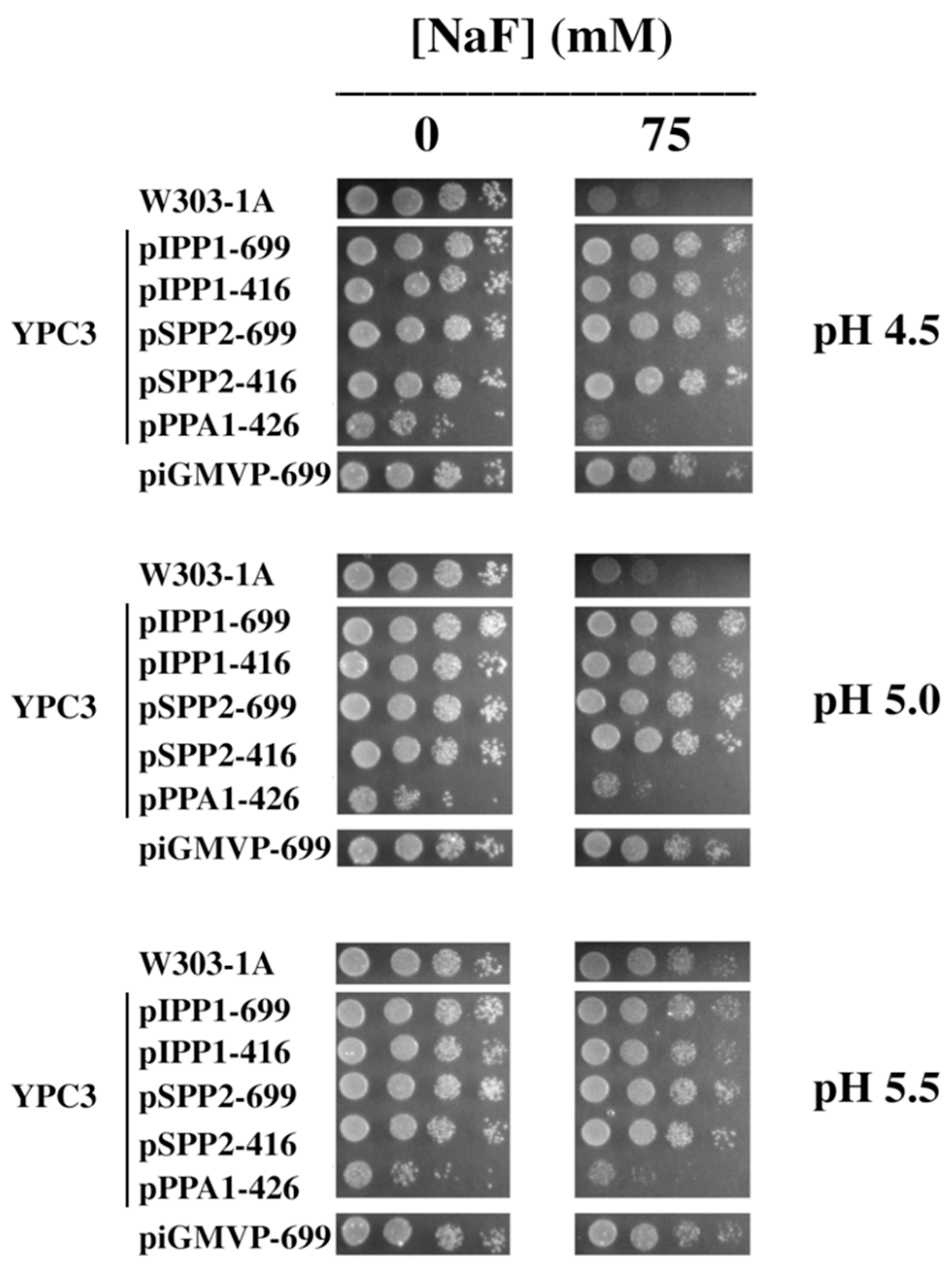 Microorganisms 13 00226 g003 Microorganisms 13 00226 g003