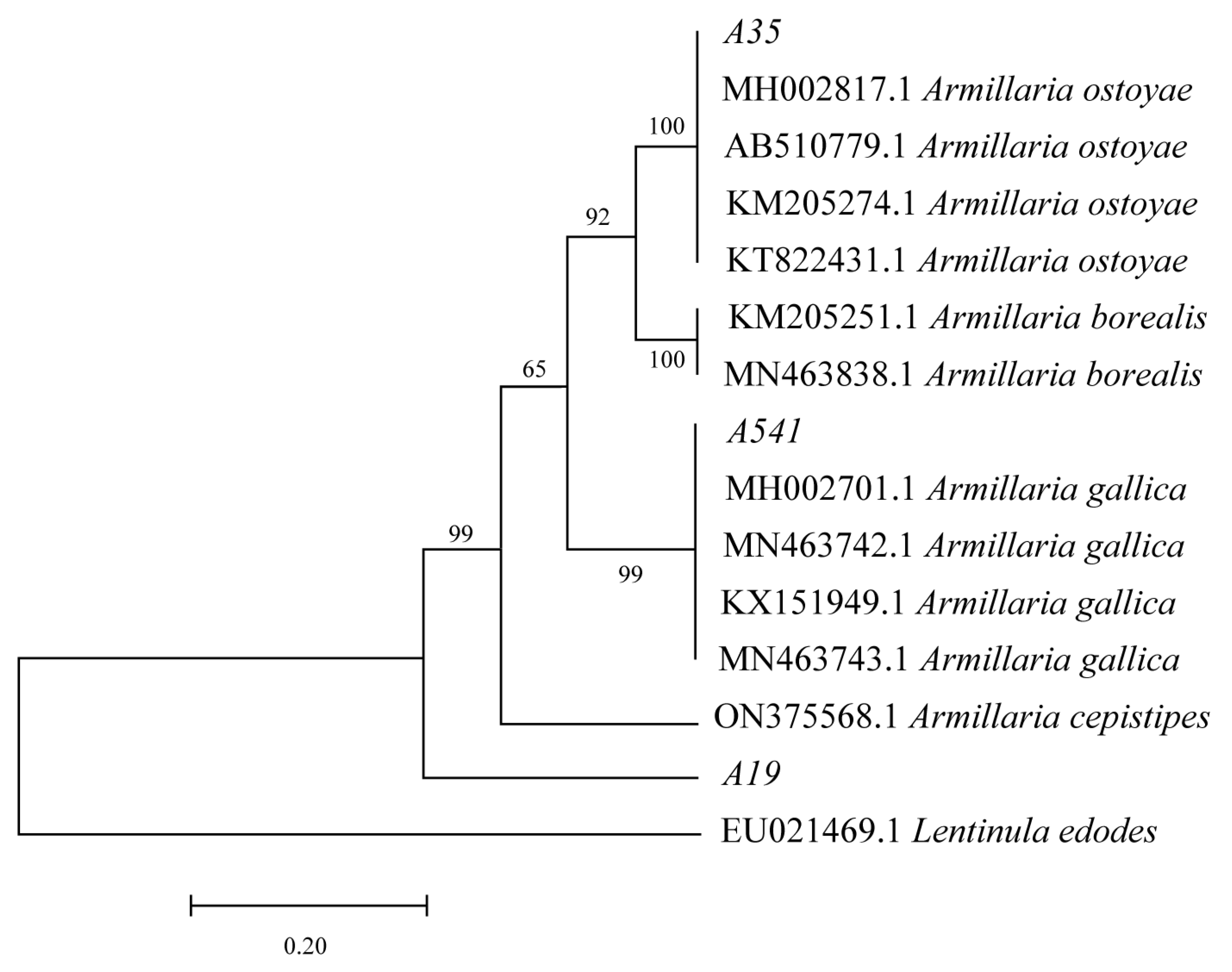 Microorganisms 13 00228 g002