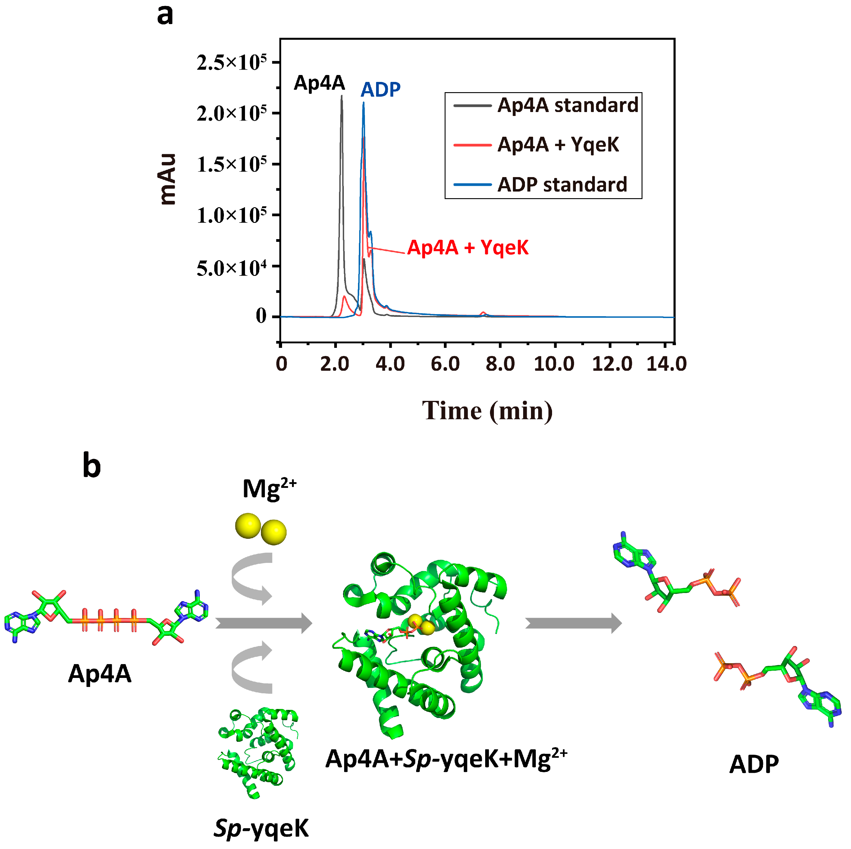 Microorganisms 13 00230 g001 Microorganisms 13 00230 g001