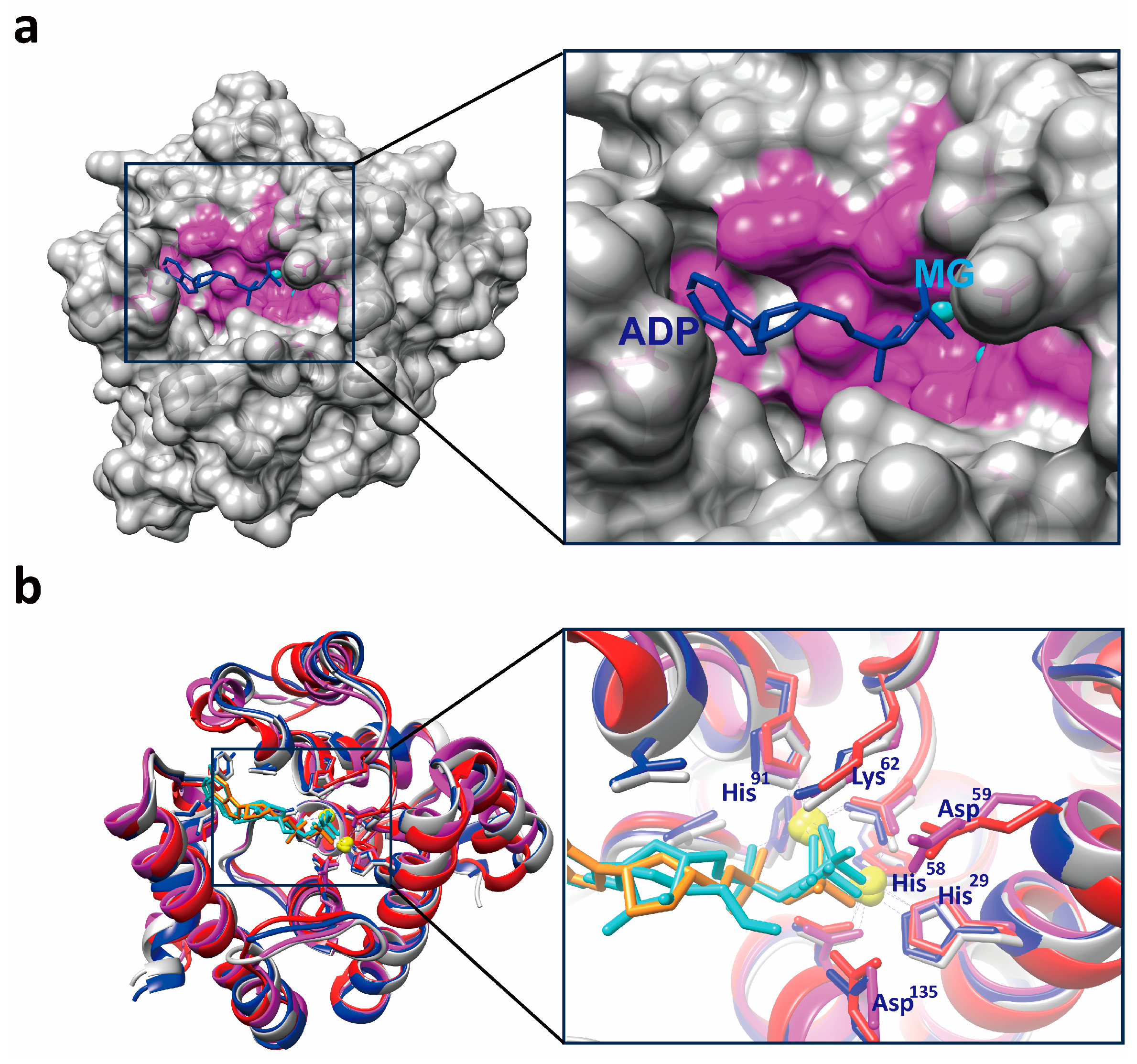 Microorganisms 13 00230 g006 Microorganisms 13 00230 g006