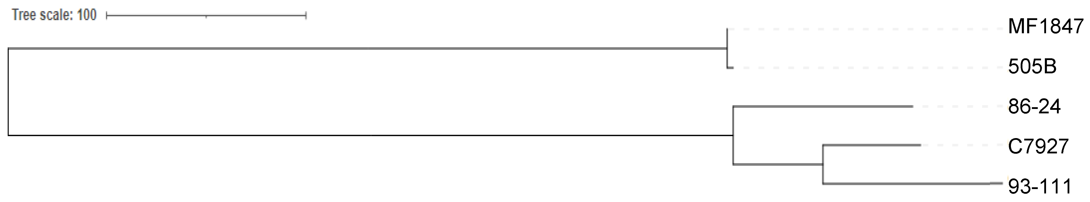 Microorganisms 13 00232 g001