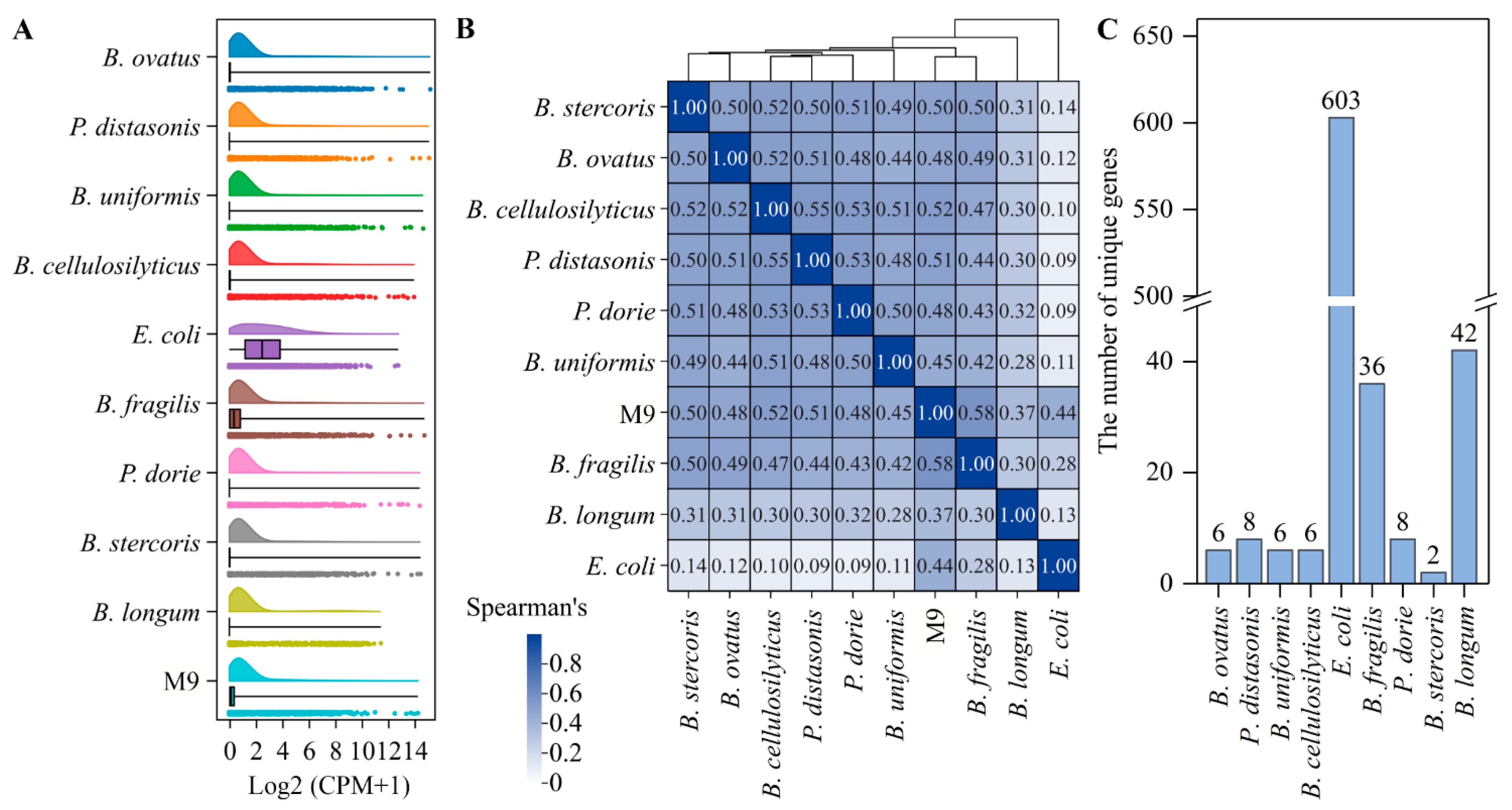 Microorganisms 13 00234 g001