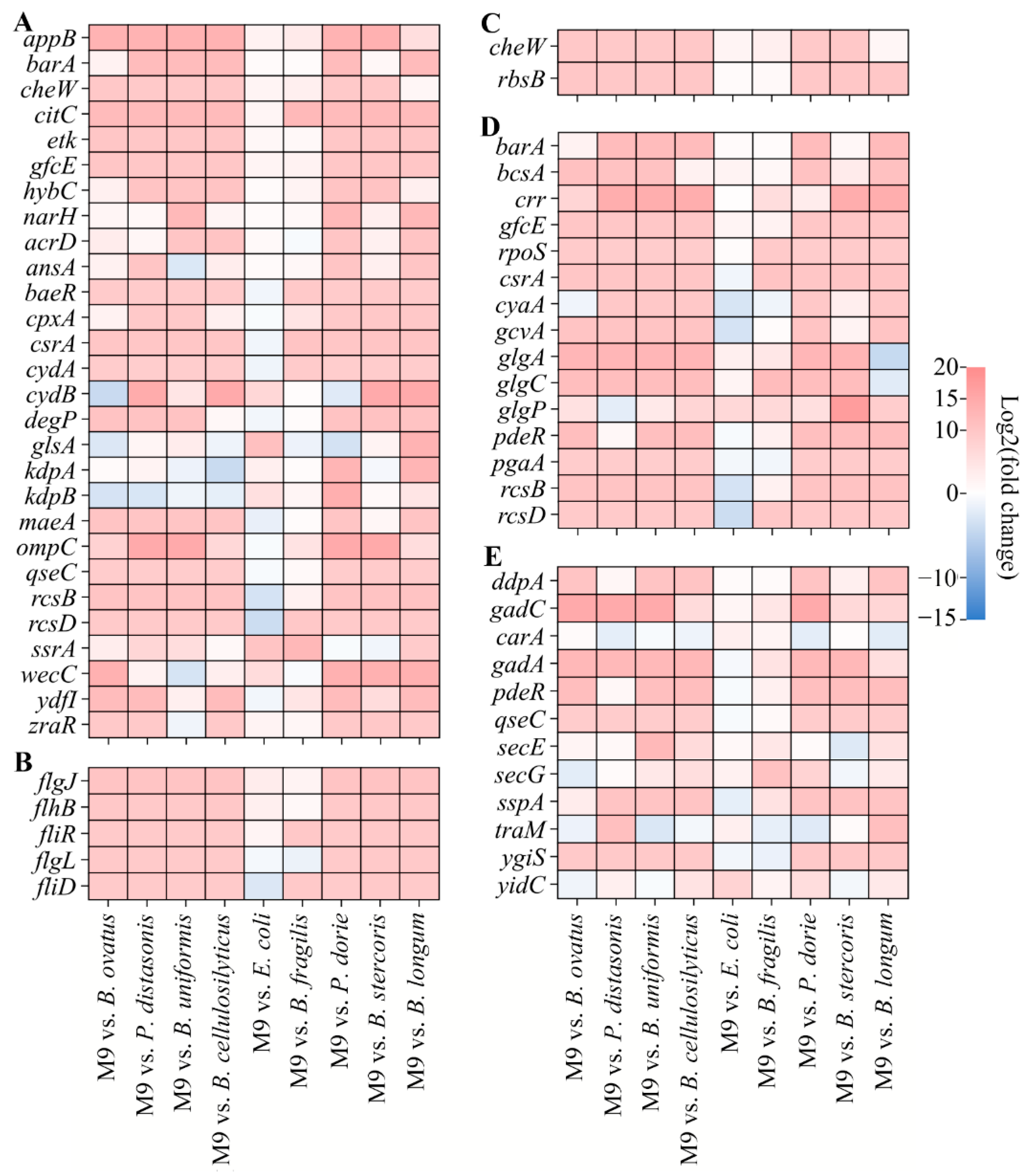 Microorganisms 13 00234 g004