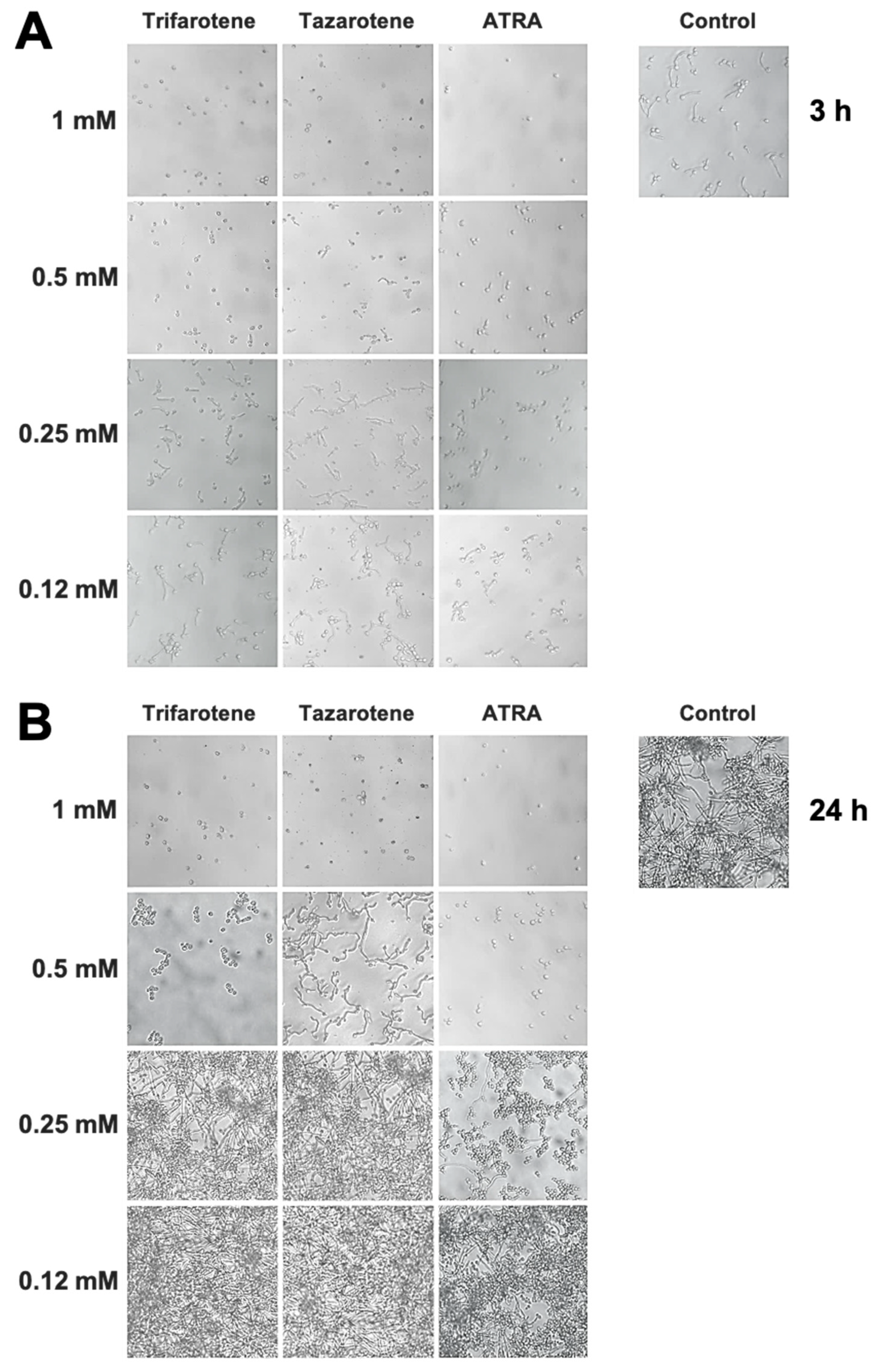 Microorganisms 13 00237 g003