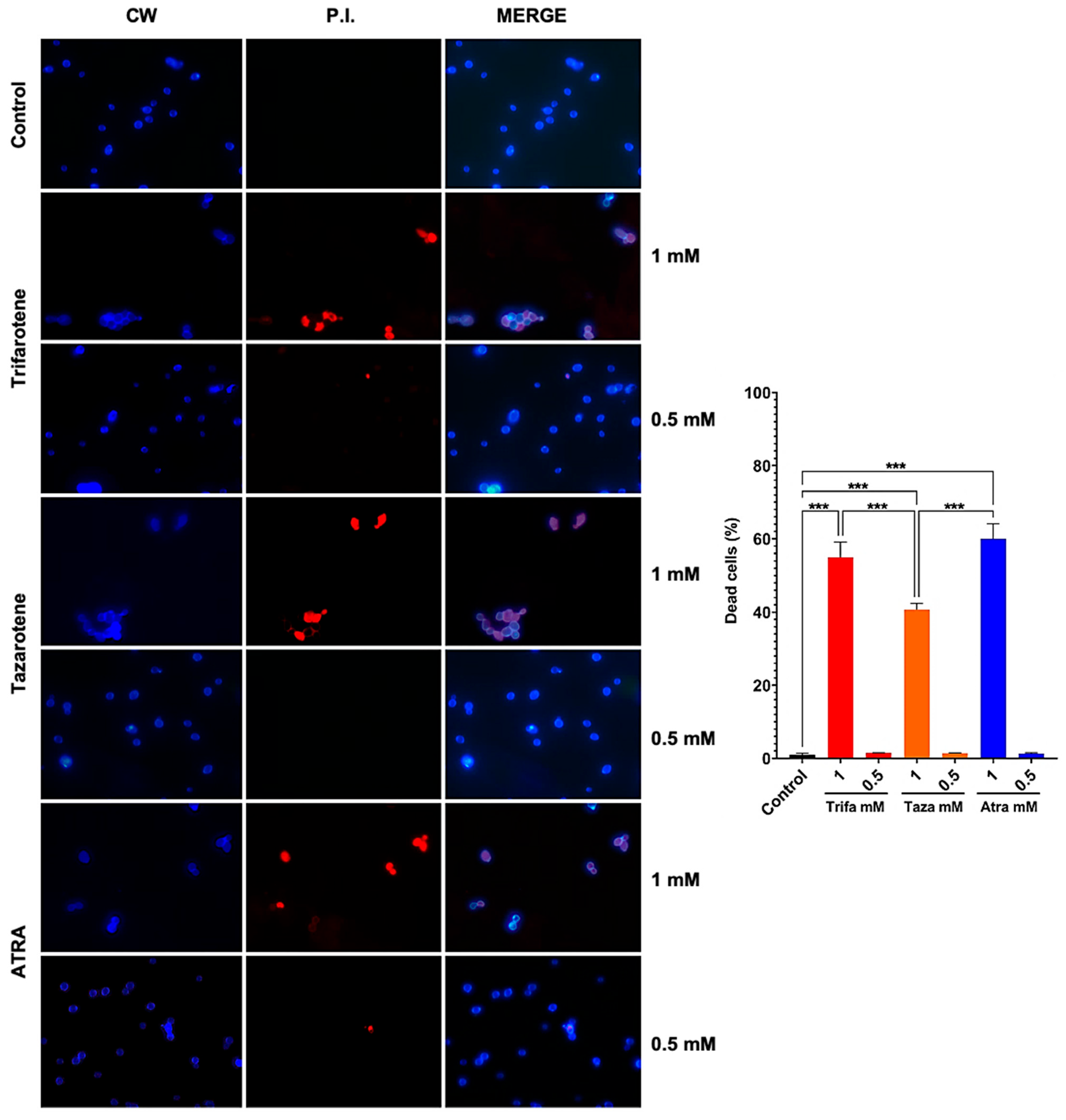 Microorganisms 13 00237 g007