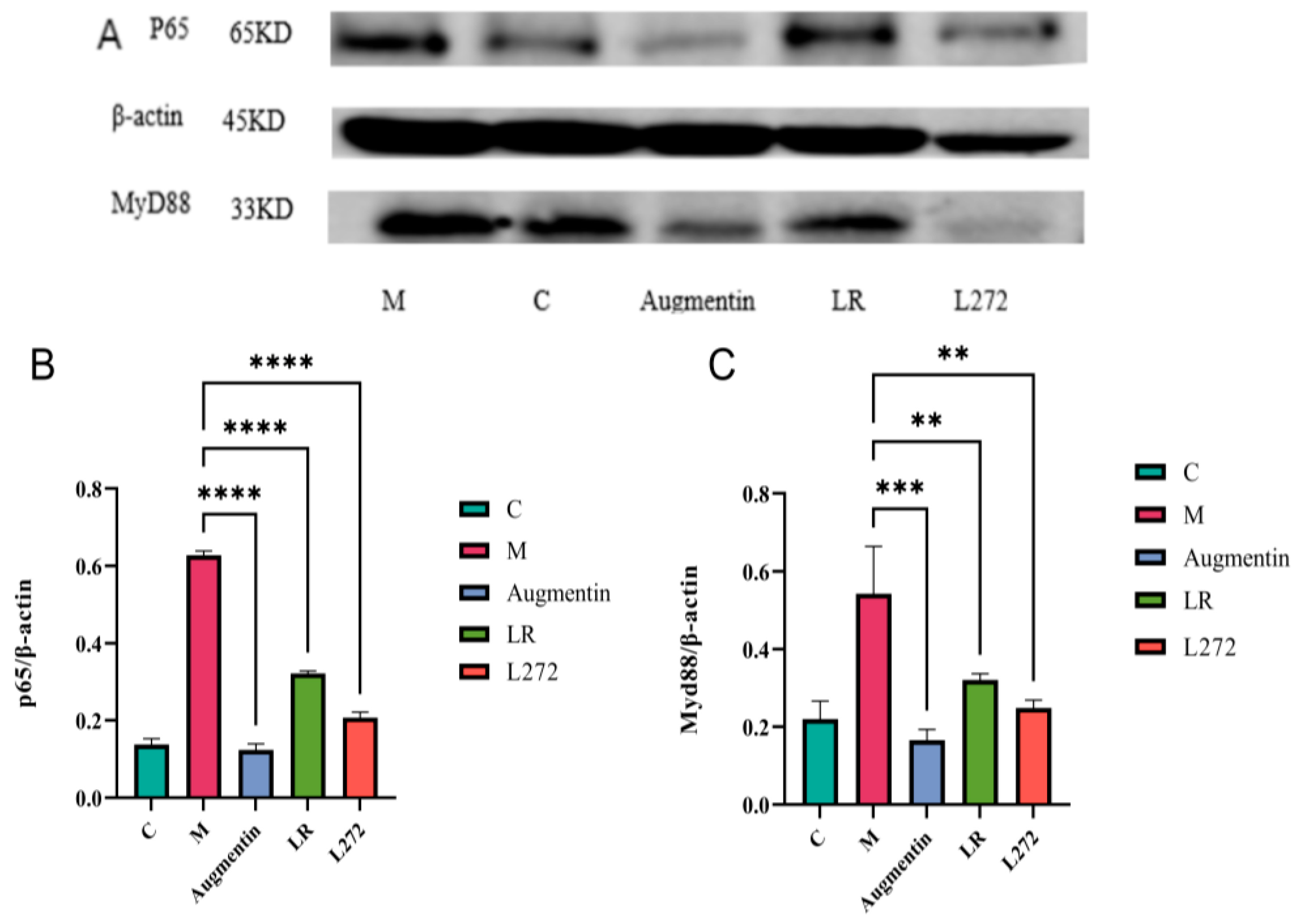 Microorganisms 13 00239 g004