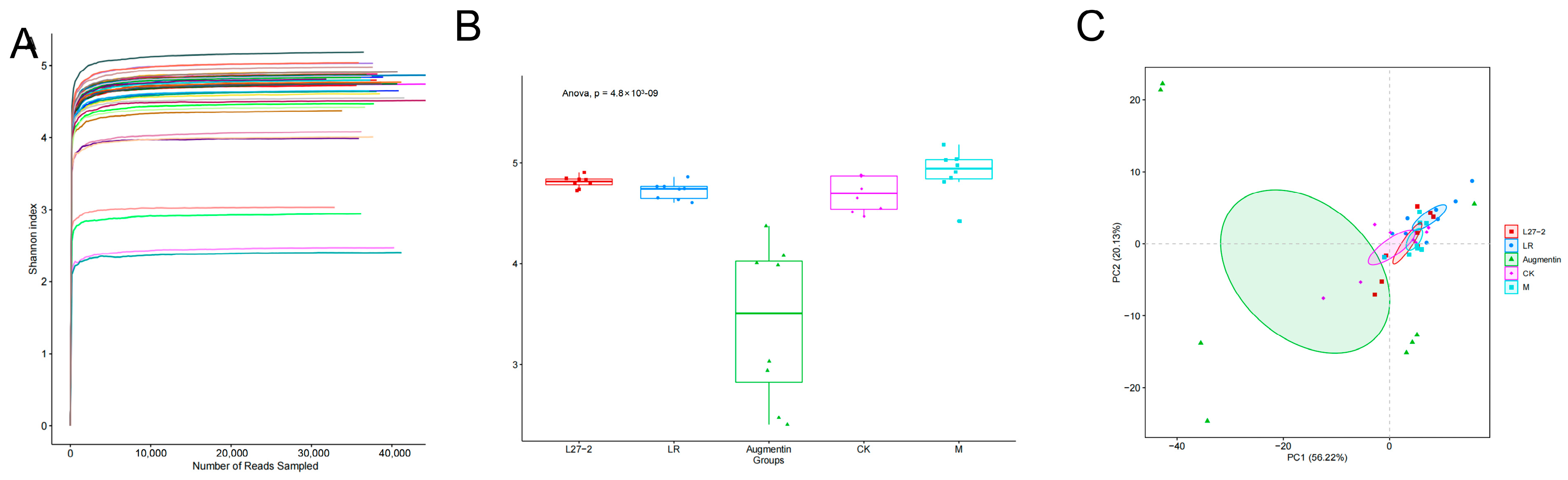 Microorganisms 13 00239 g005