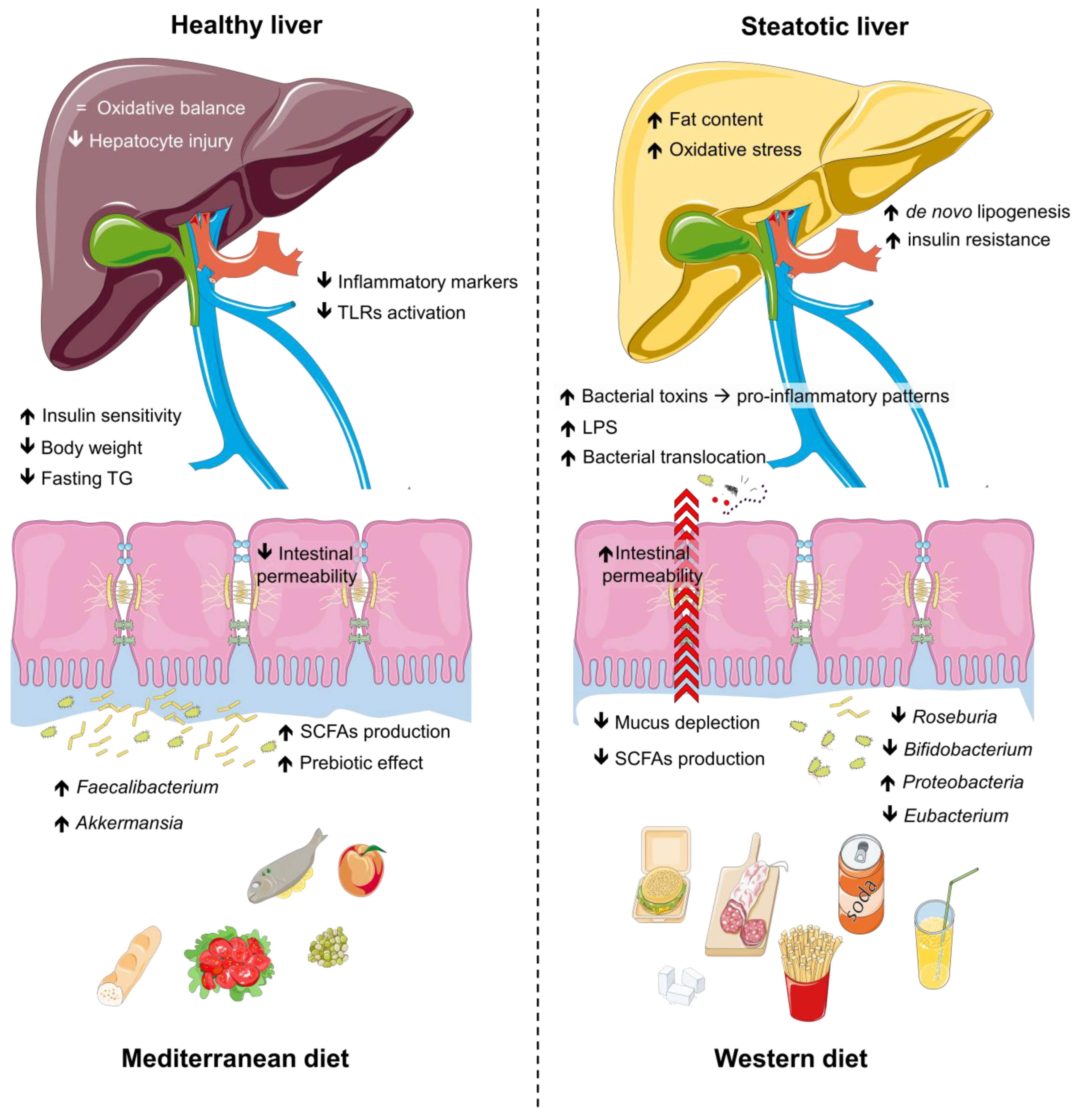 Microorganisms 13 00241 g002