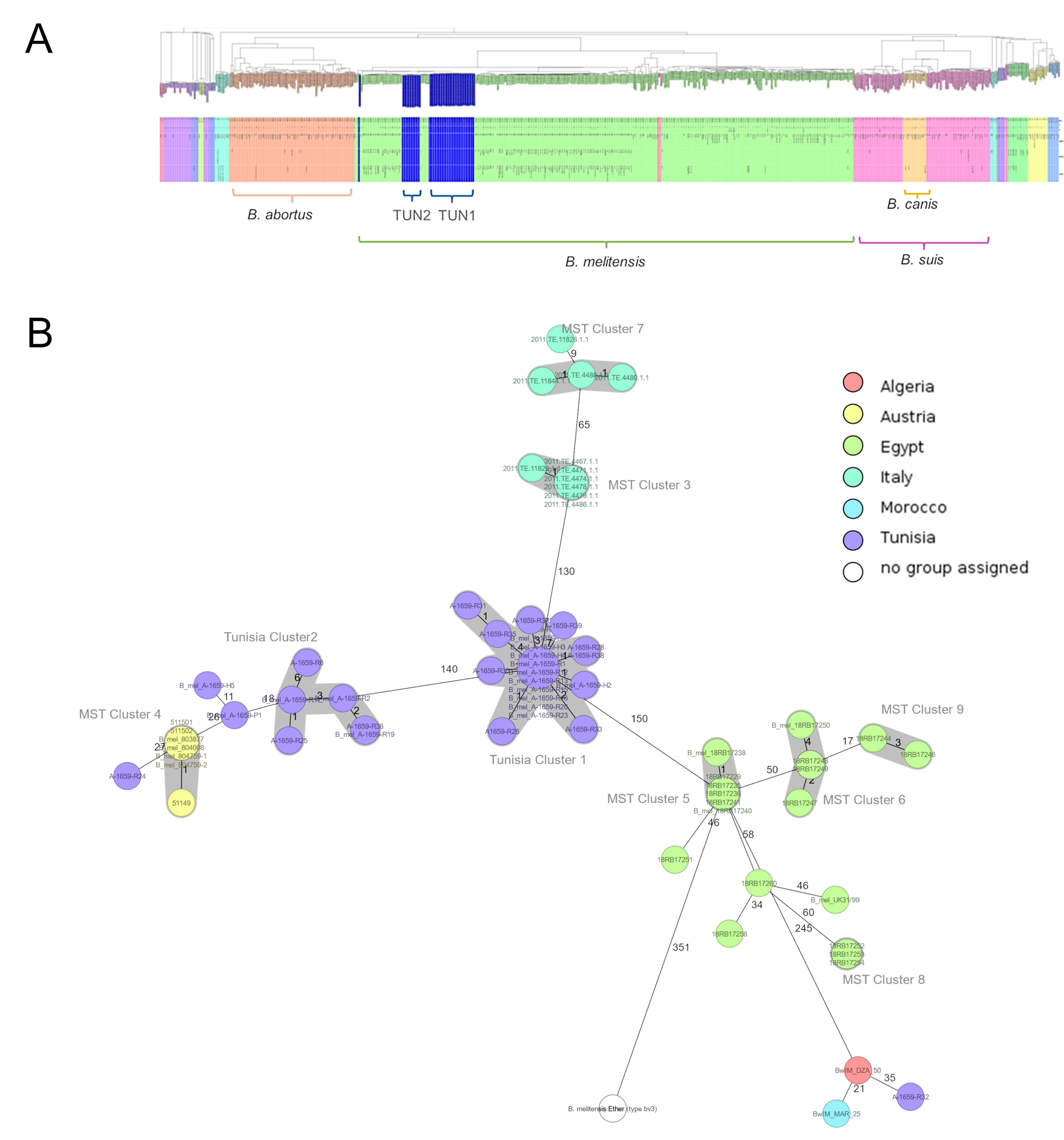 Microorganisms 13 00243 g002