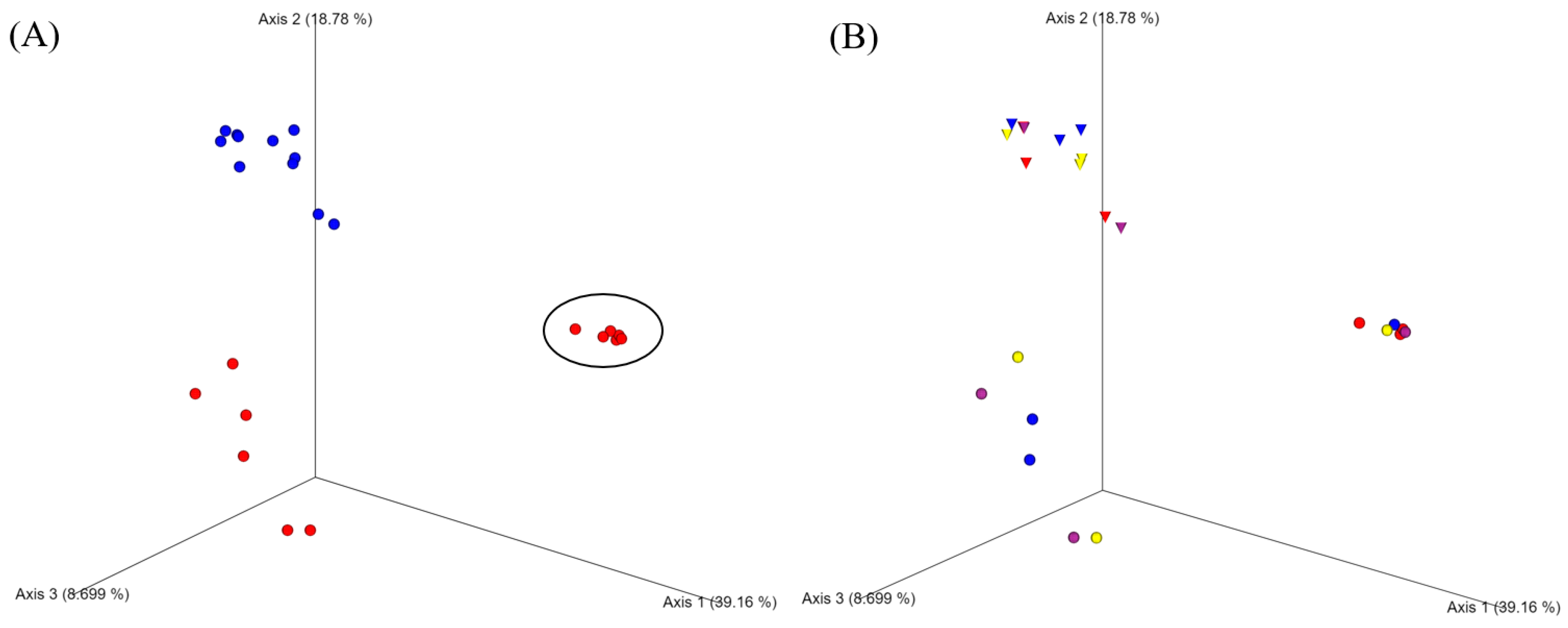 Microorganisms 13 00244 g005