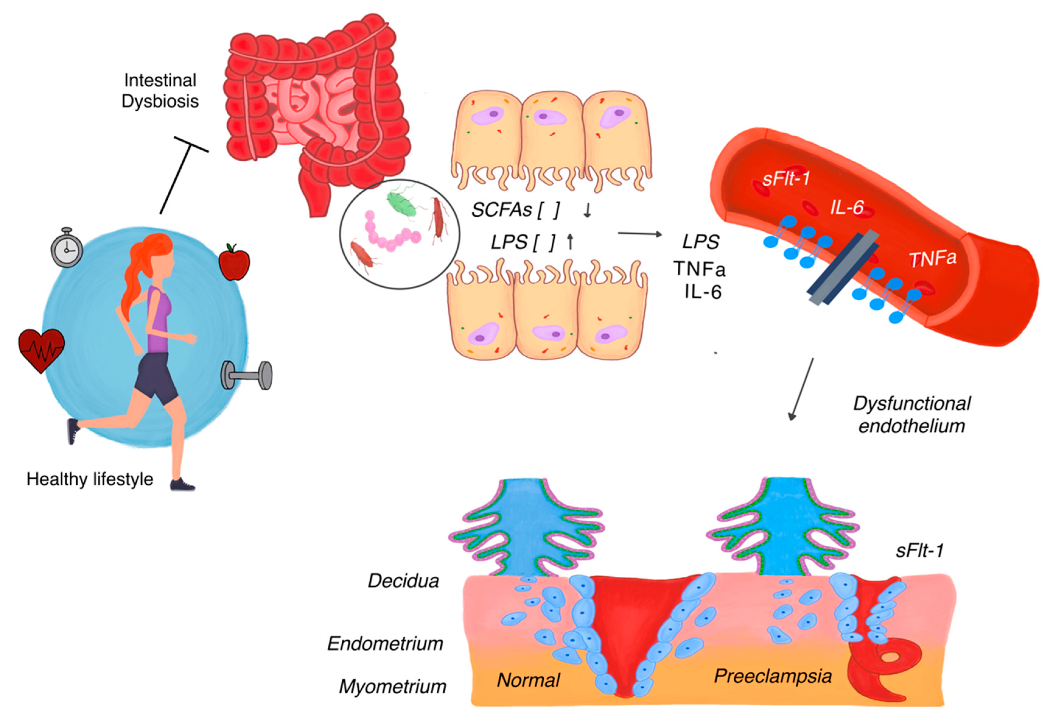 Microorganisms 13 00245 g001
