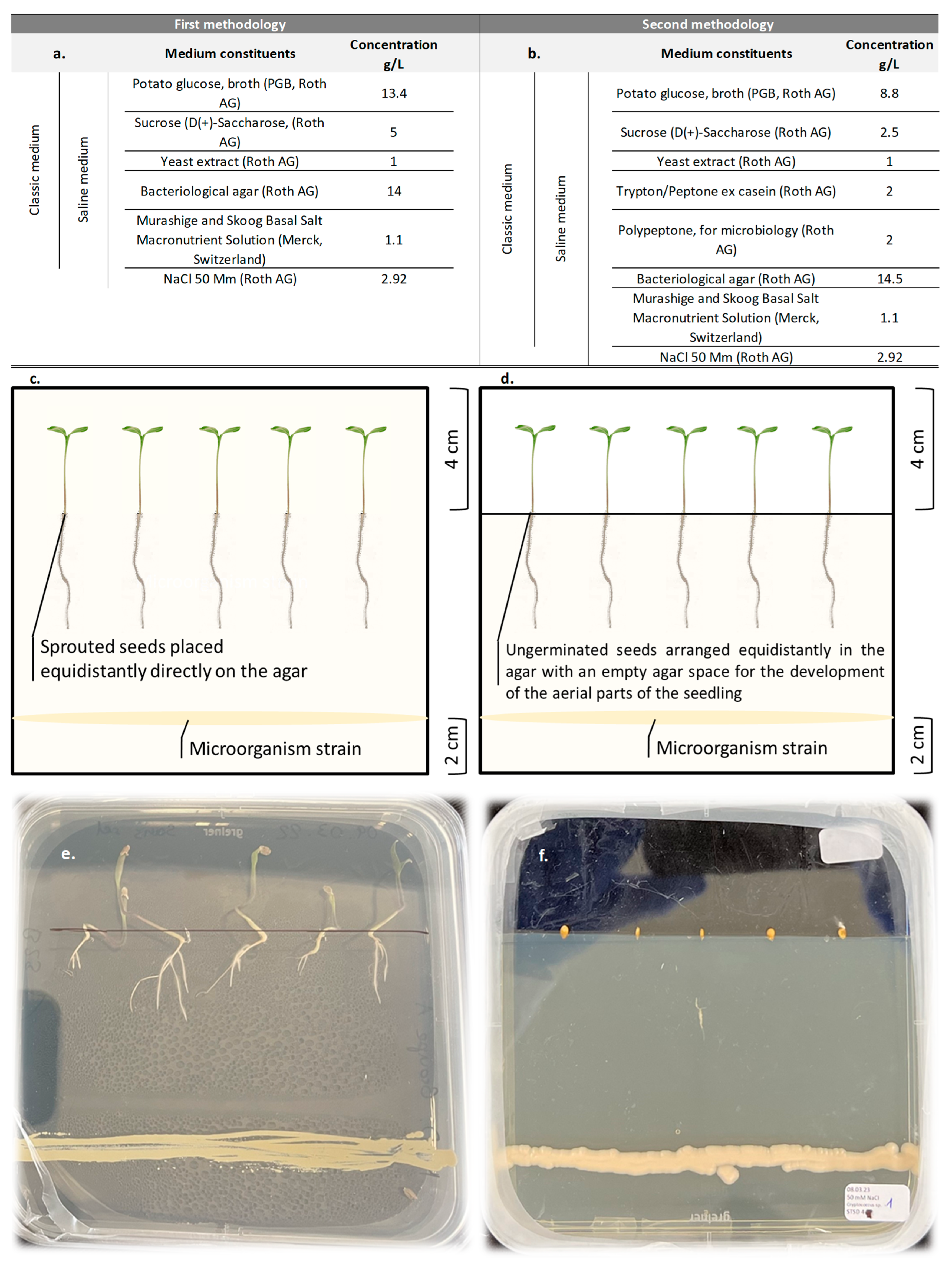 Microorganisms 13 00246 g001