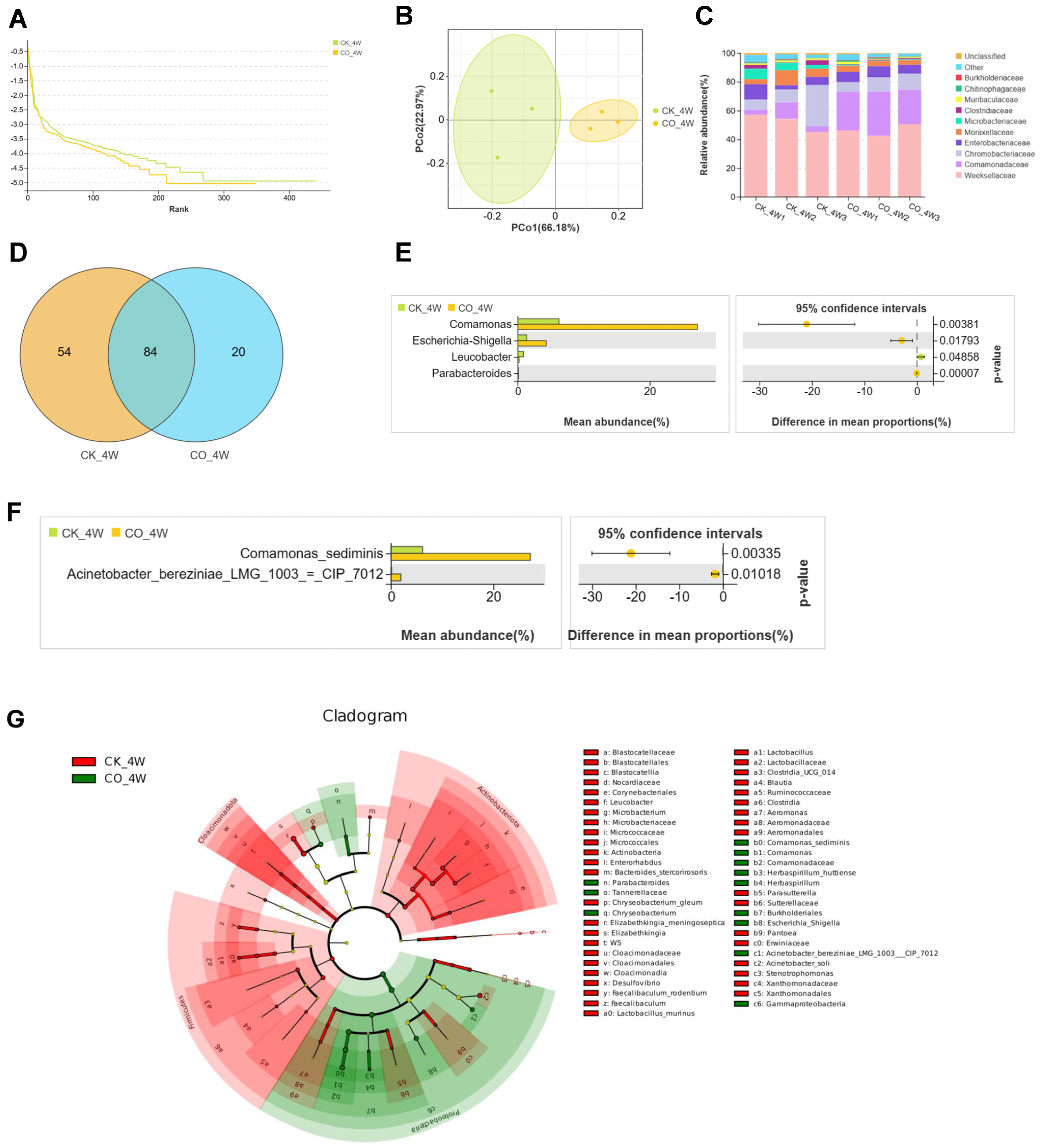 Microorganisms 13 00248 g001