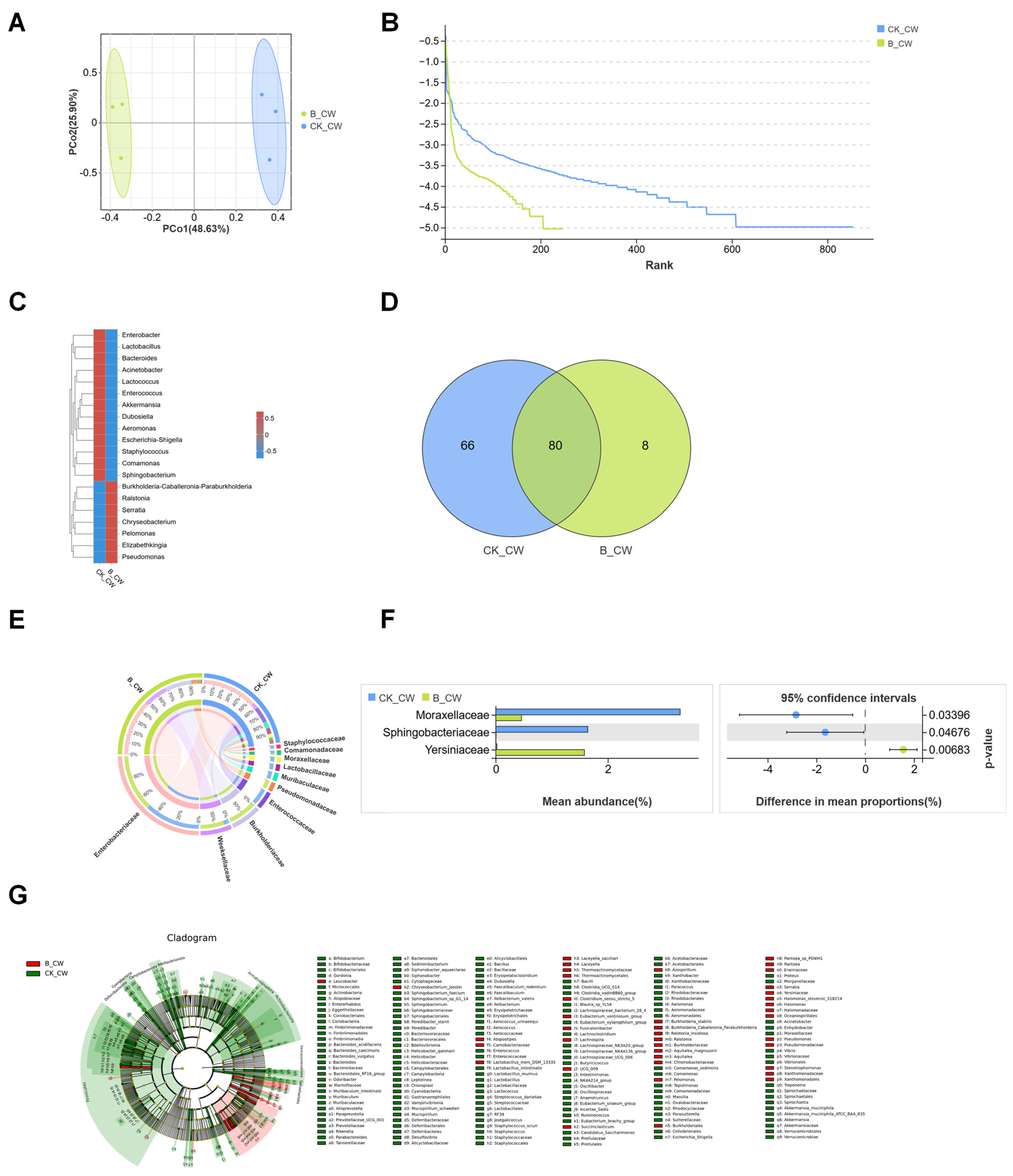 Microorganisms 13 00248 g008