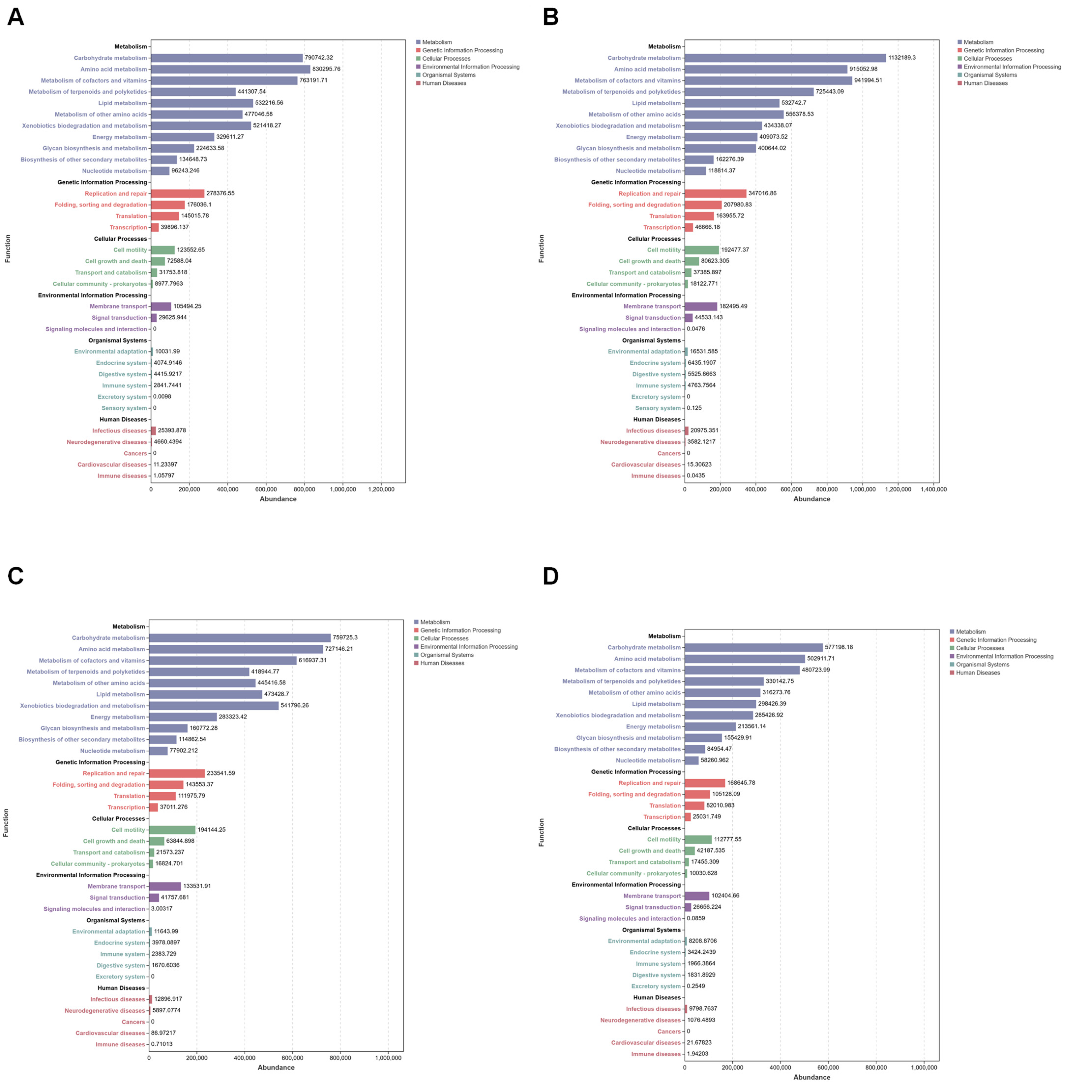 Microorganisms 13 00248 g012
