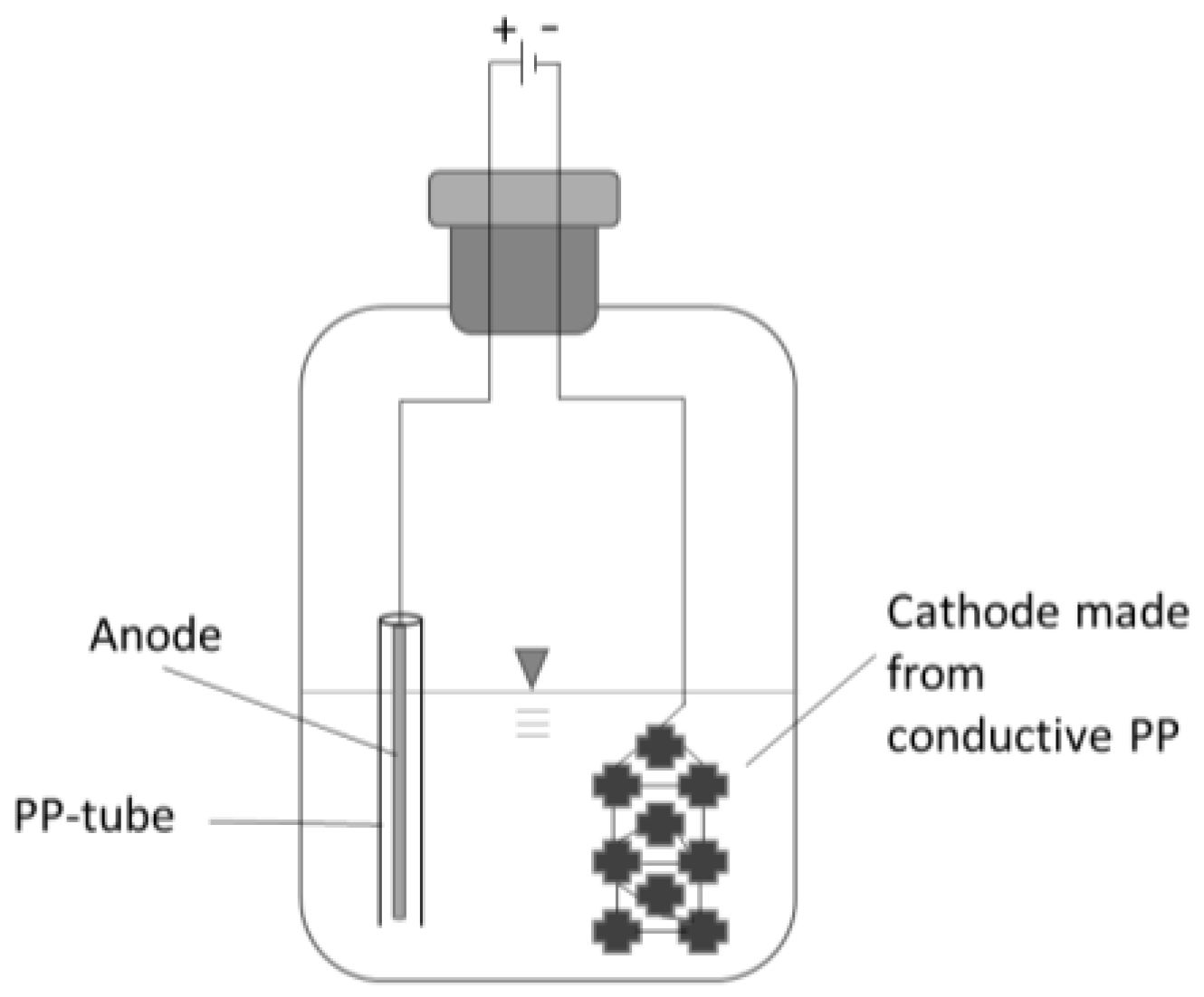 Microorganisms 13 00249 g001