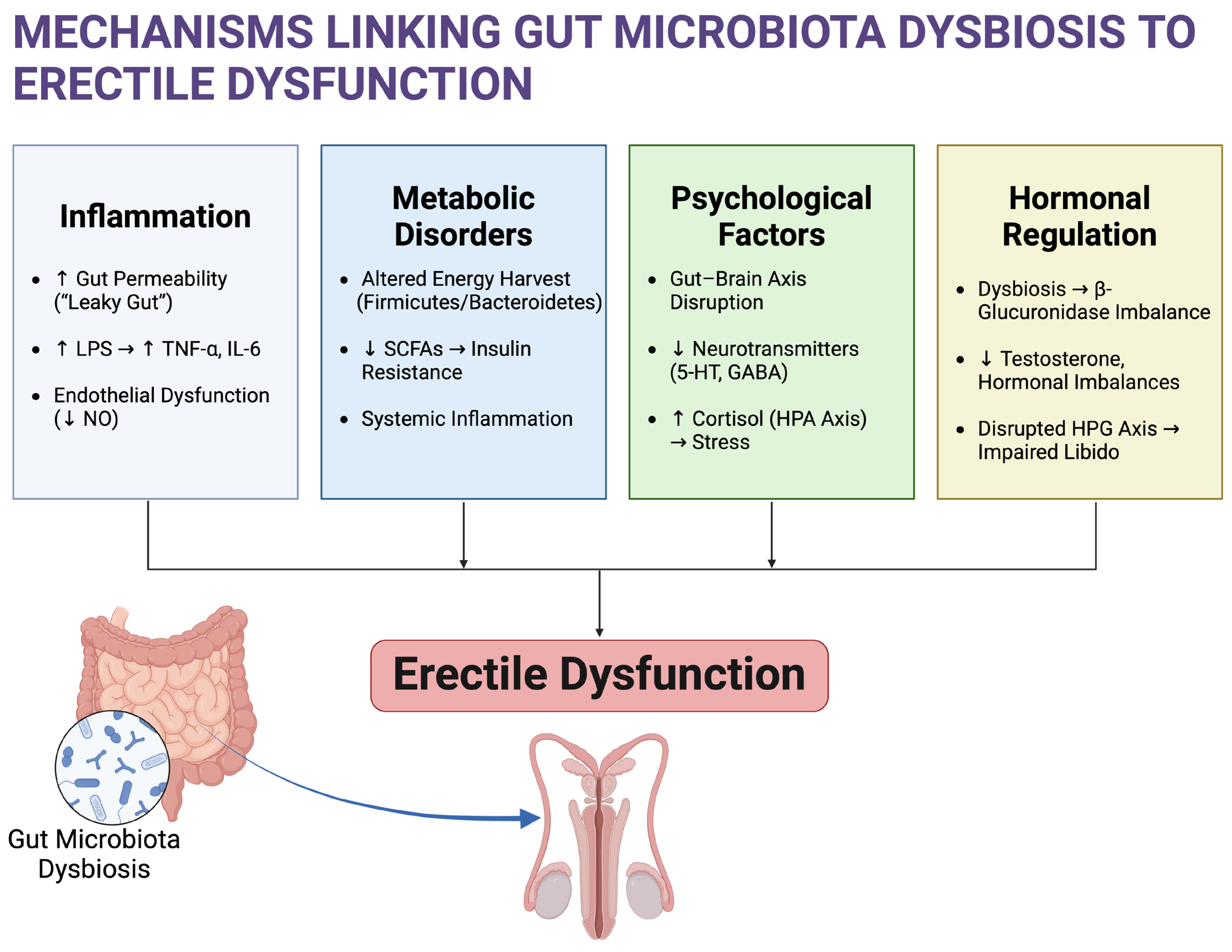 Microorganisms 13 00250 g001