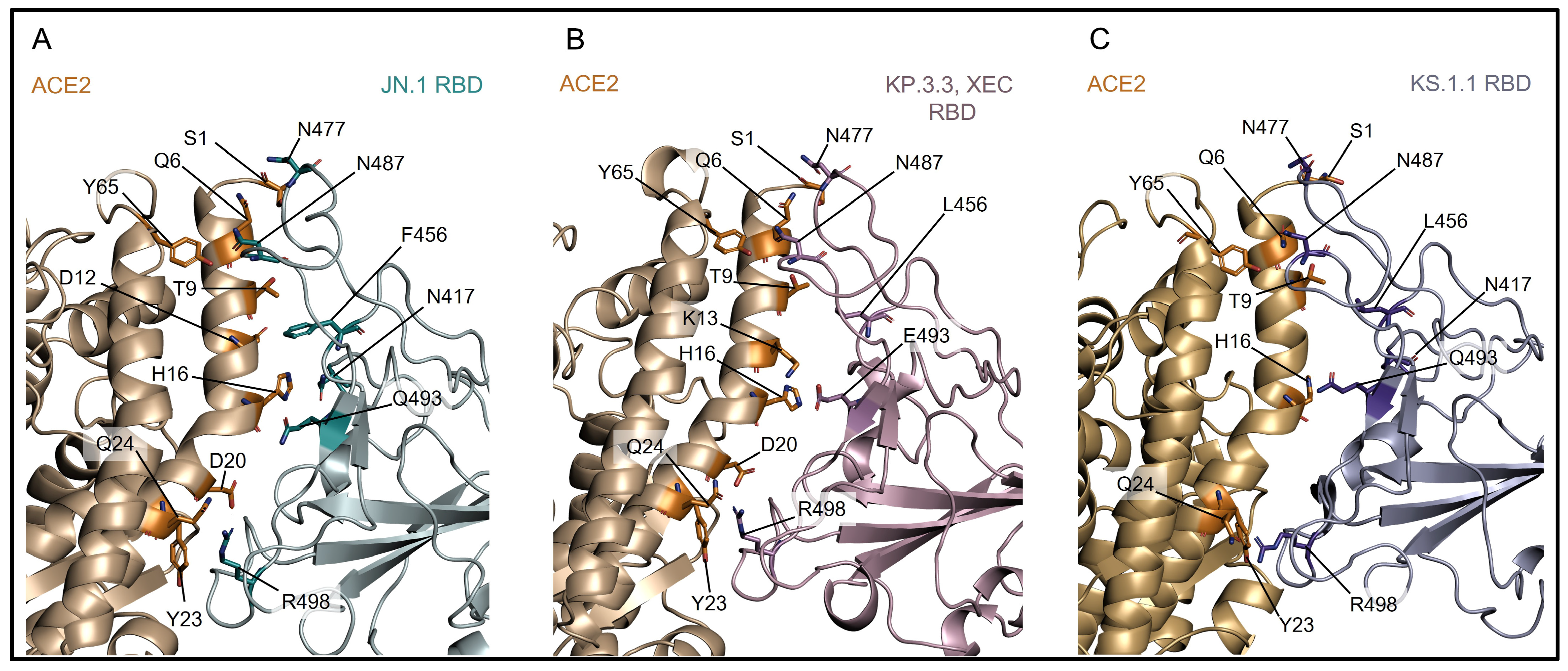 Microorganisms 13 00253 g003