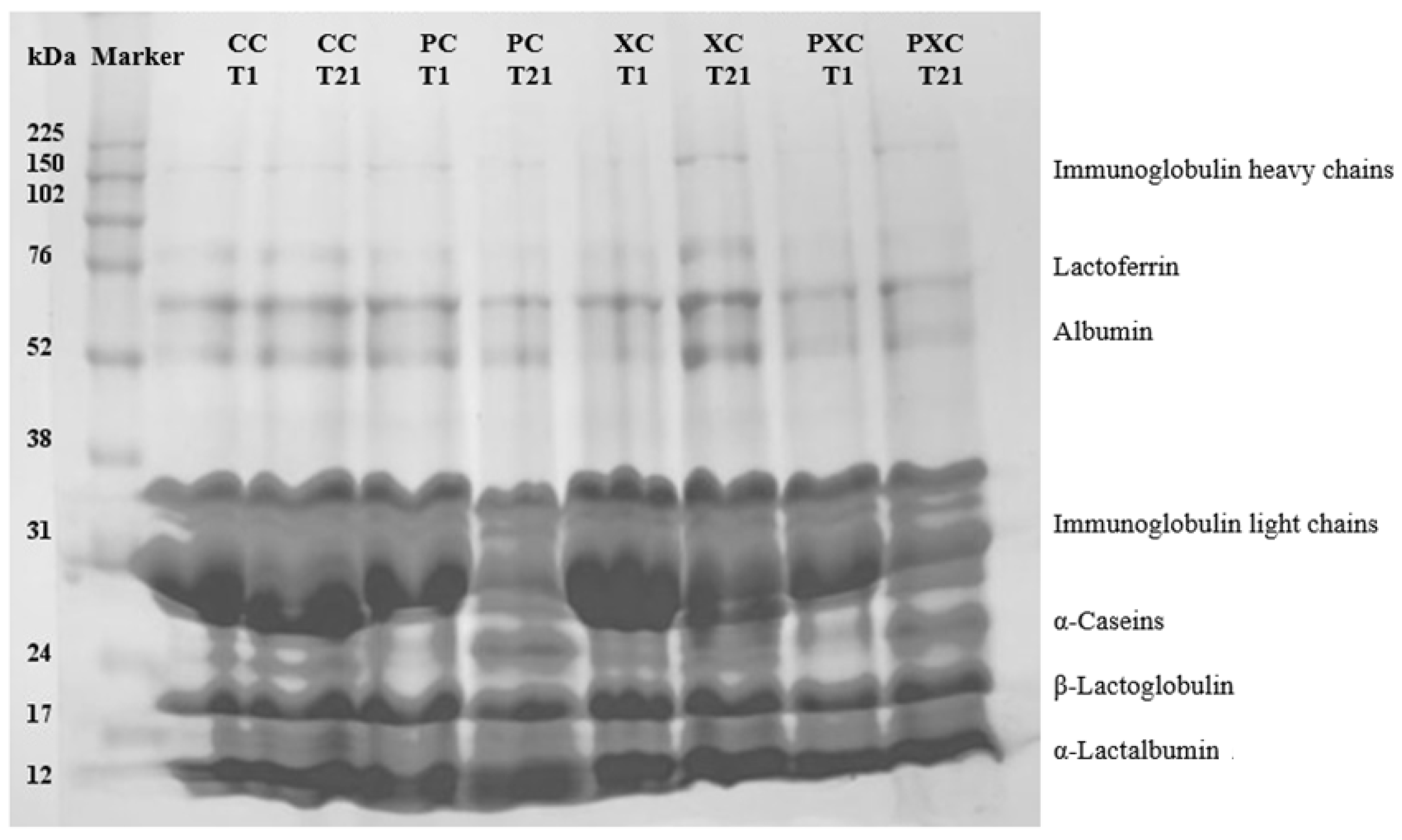 Microorganisms 13 00254 g003