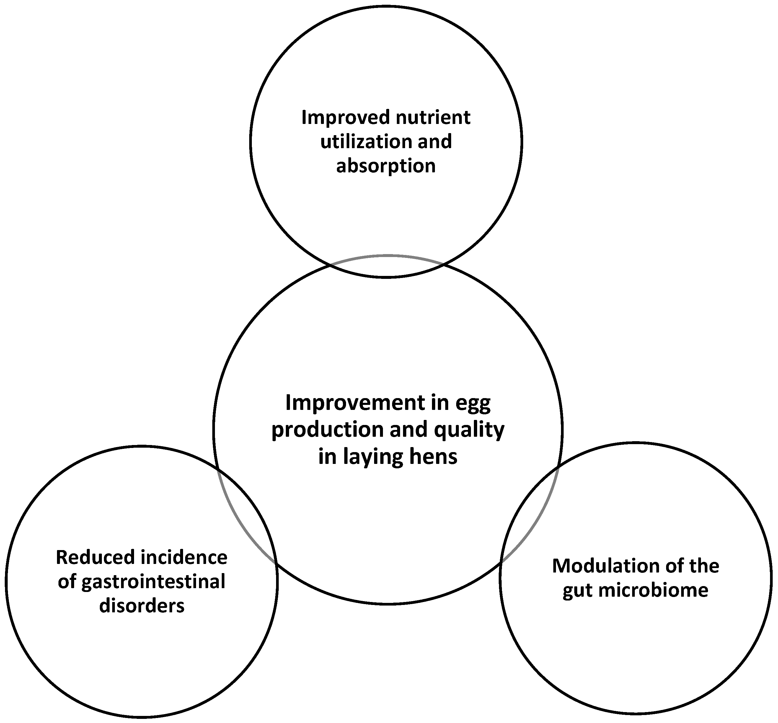 Microorganisms 13 00257 g004
