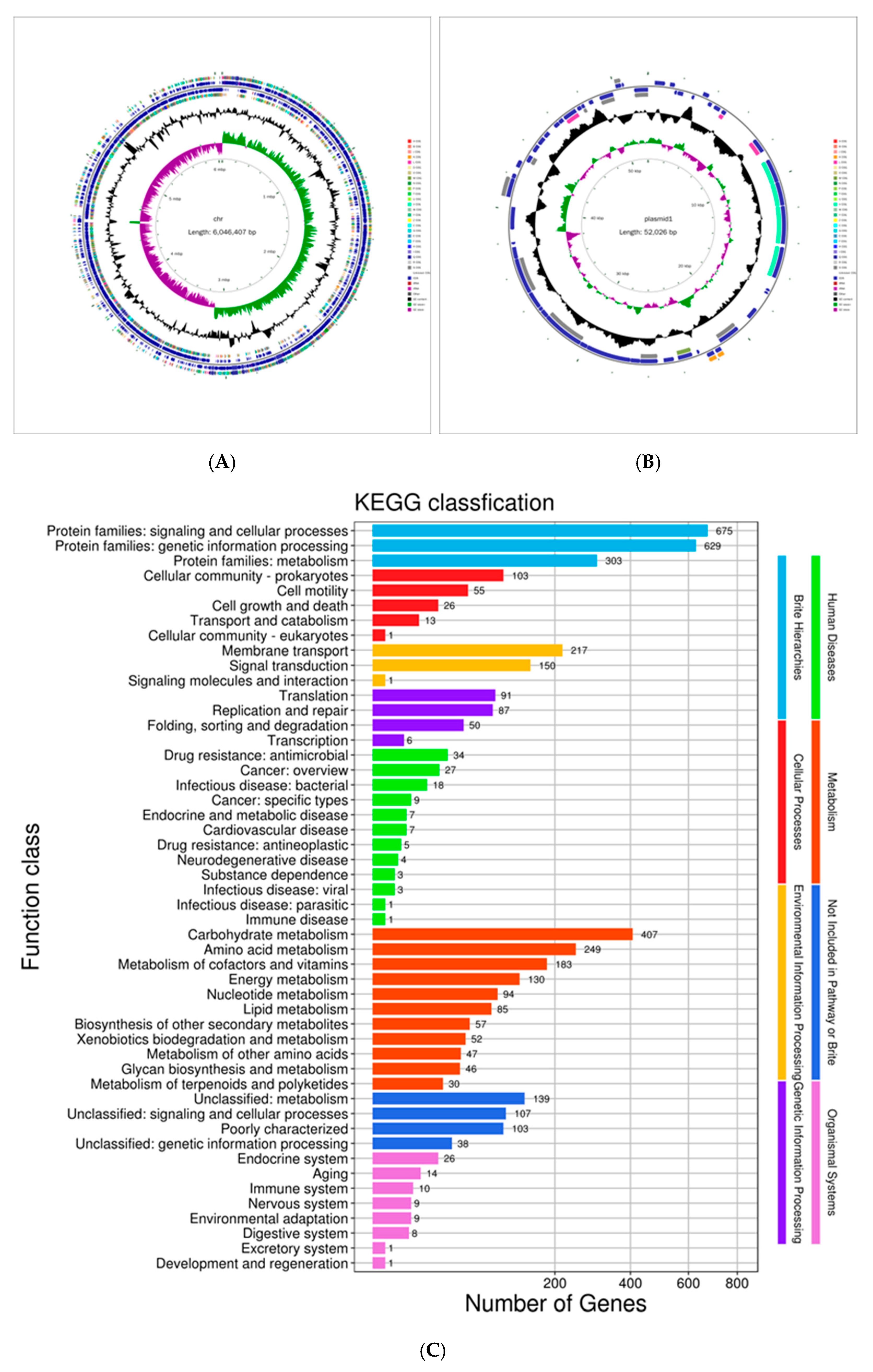 Microorganisms 13 00261 g002